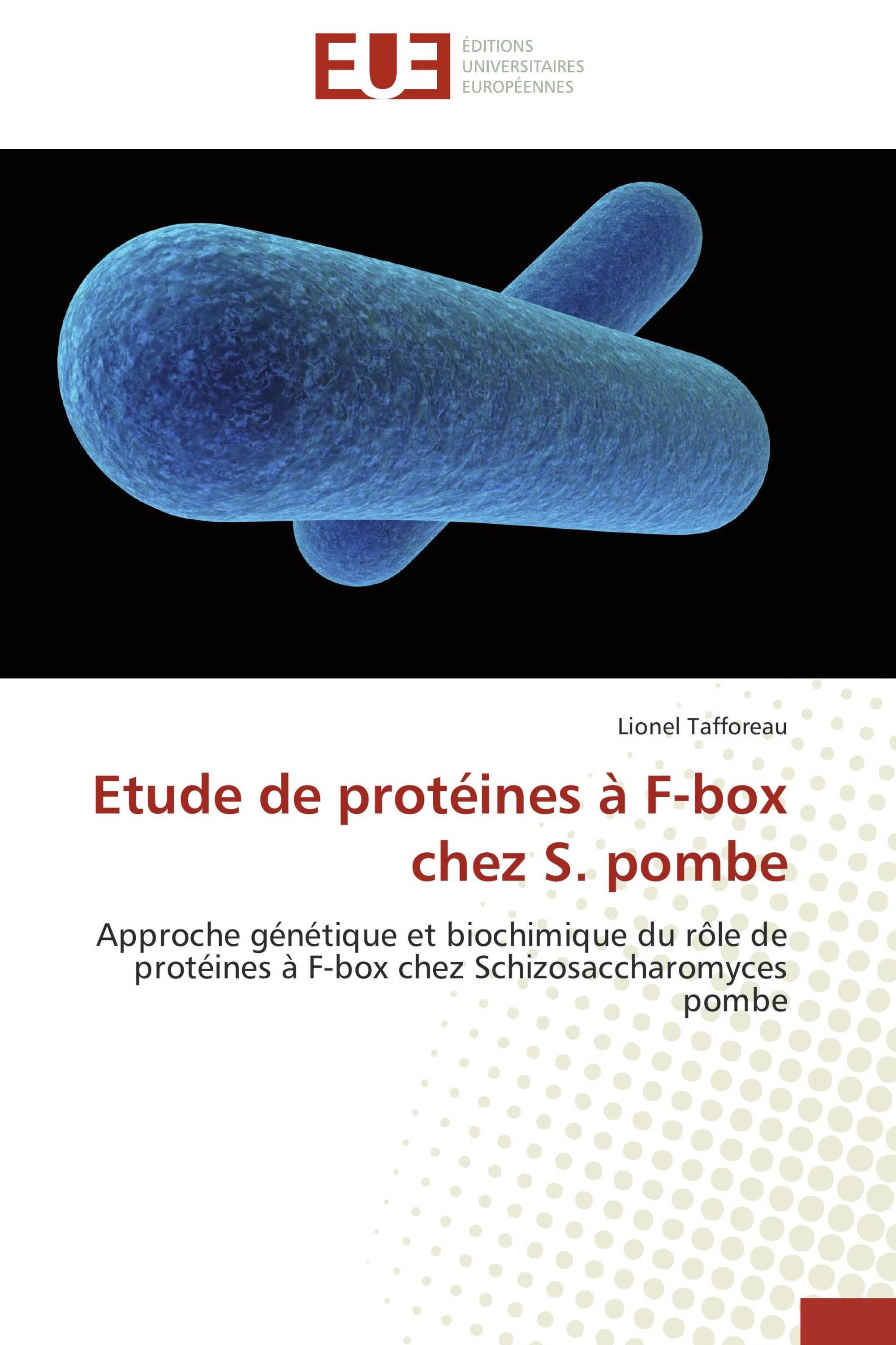 Etude de protéines à F-box chez S. pombe