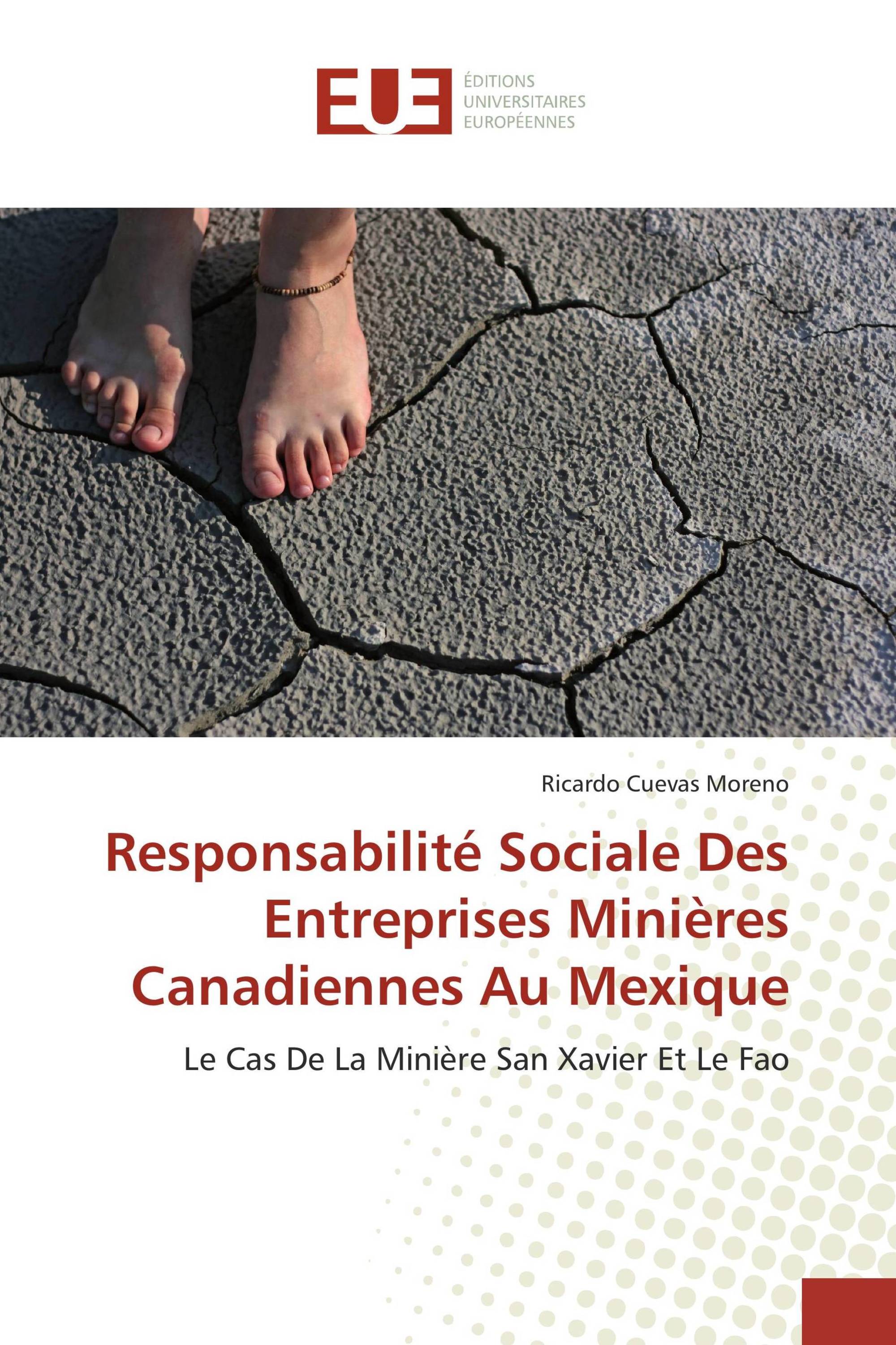 Responsabilité Sociale Des Entreprises Minières Canadiennes Au Mexique