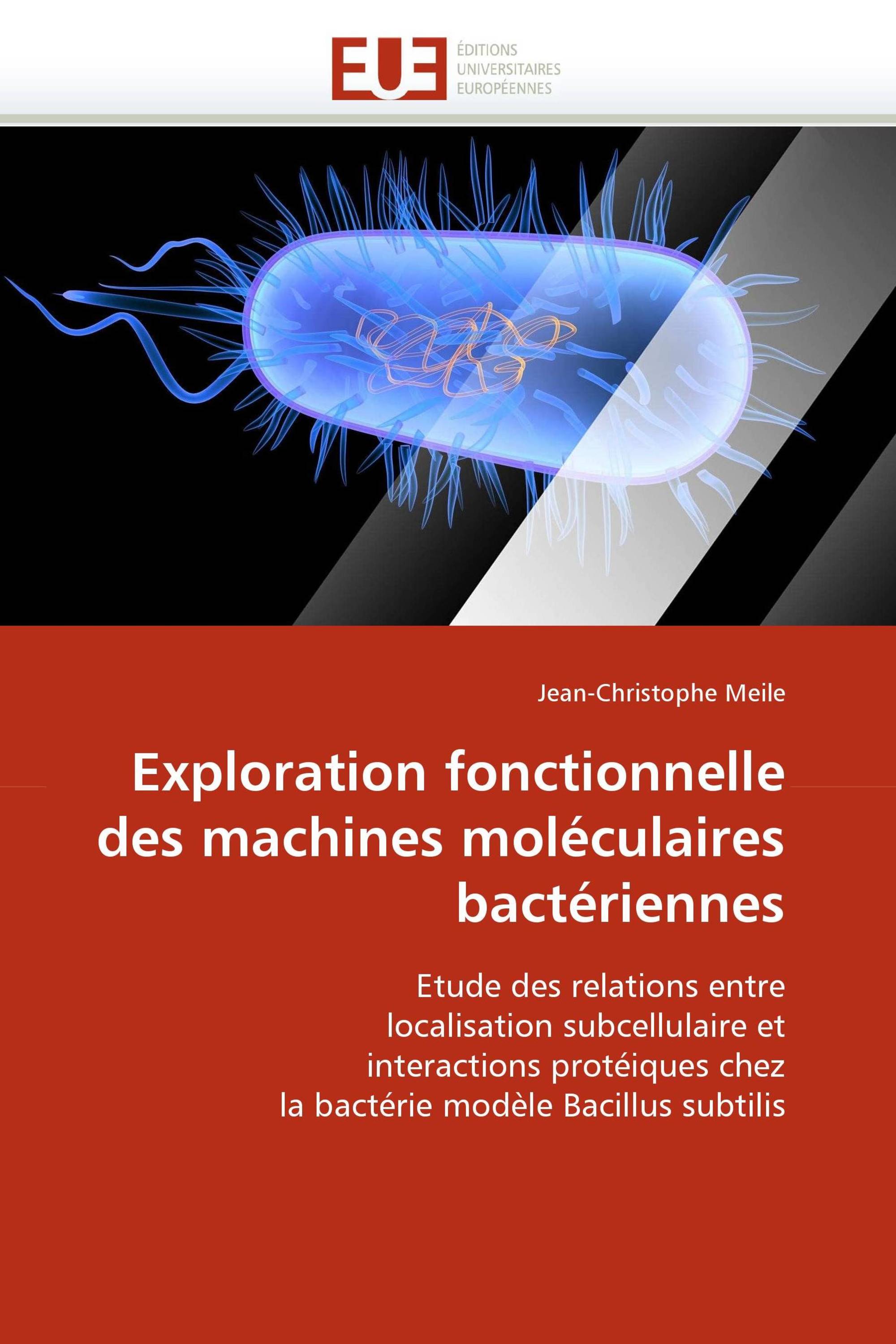 Exploration fonctionnelle des machines moléculaires bactériennes