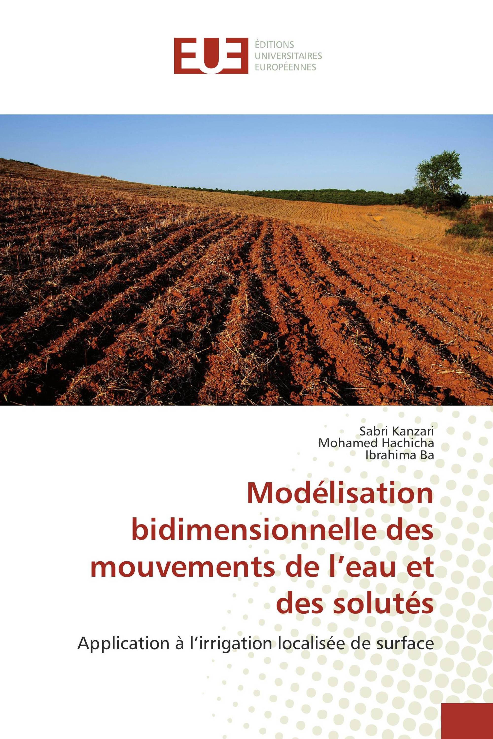 Modélisation bidimensionnelle des mouvements de l’eau et des solutés