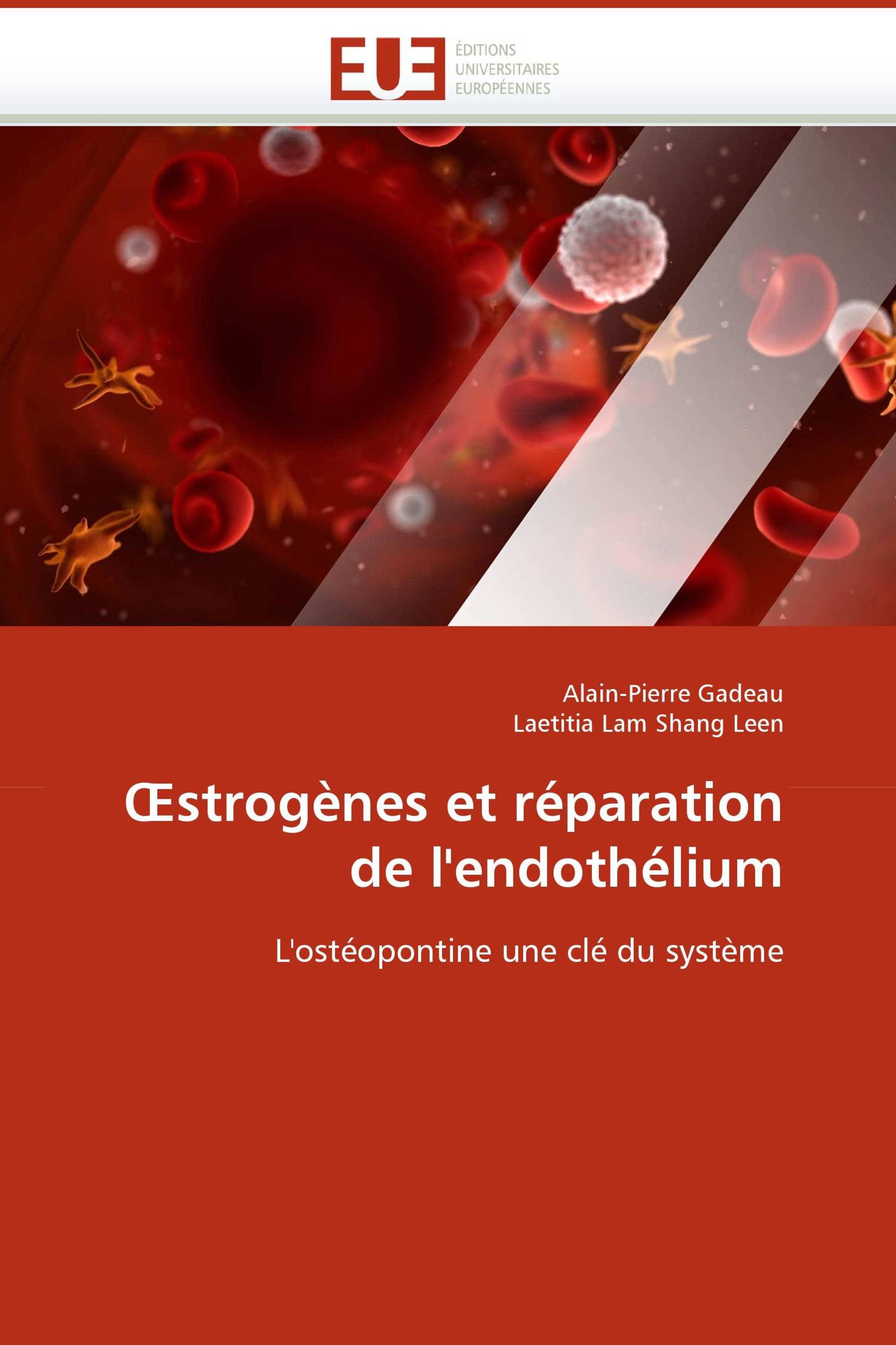 Œstrogènes et réparation de l''endothélium