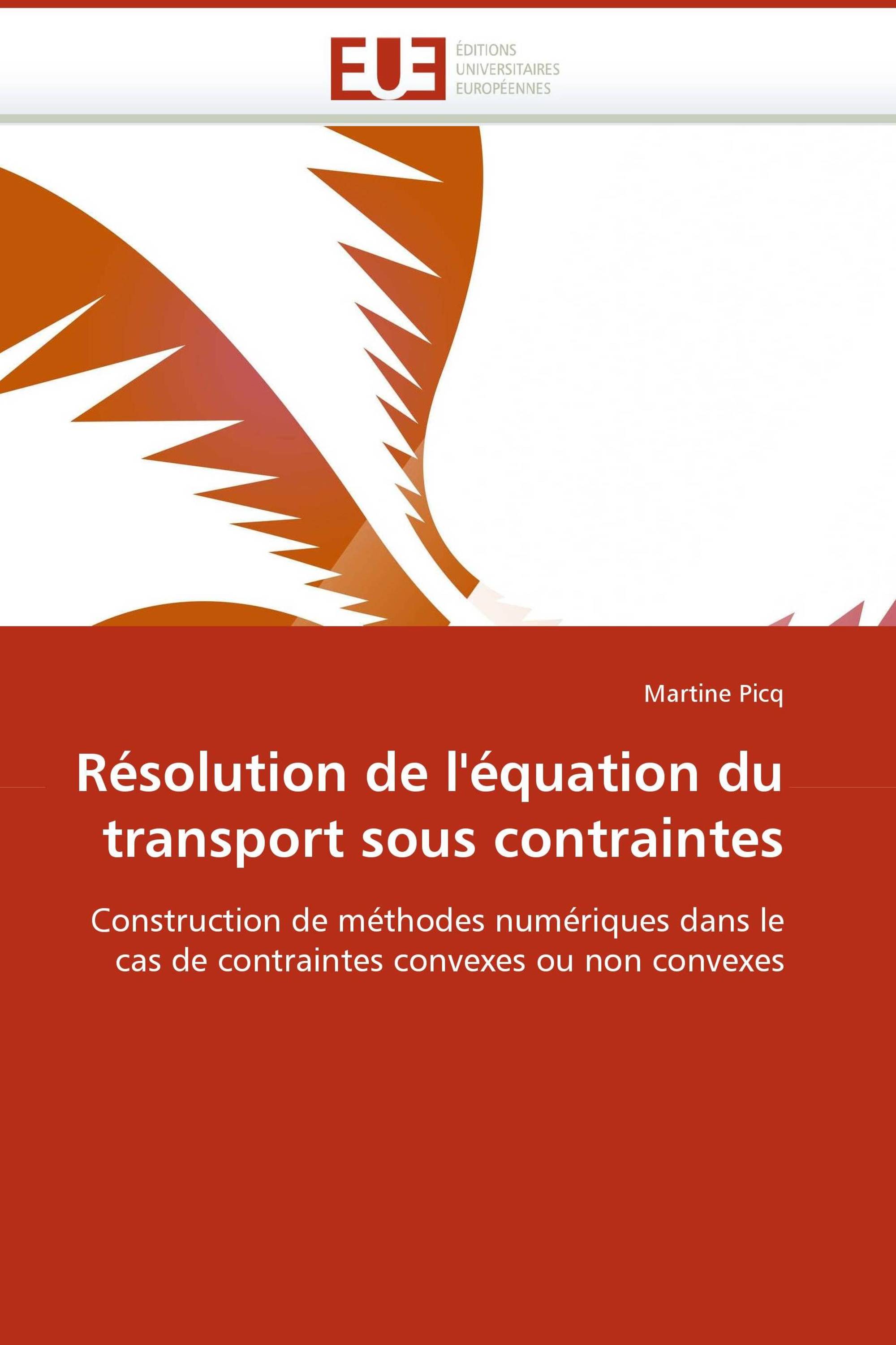 Résolution de l''équation du transport sous contraintes