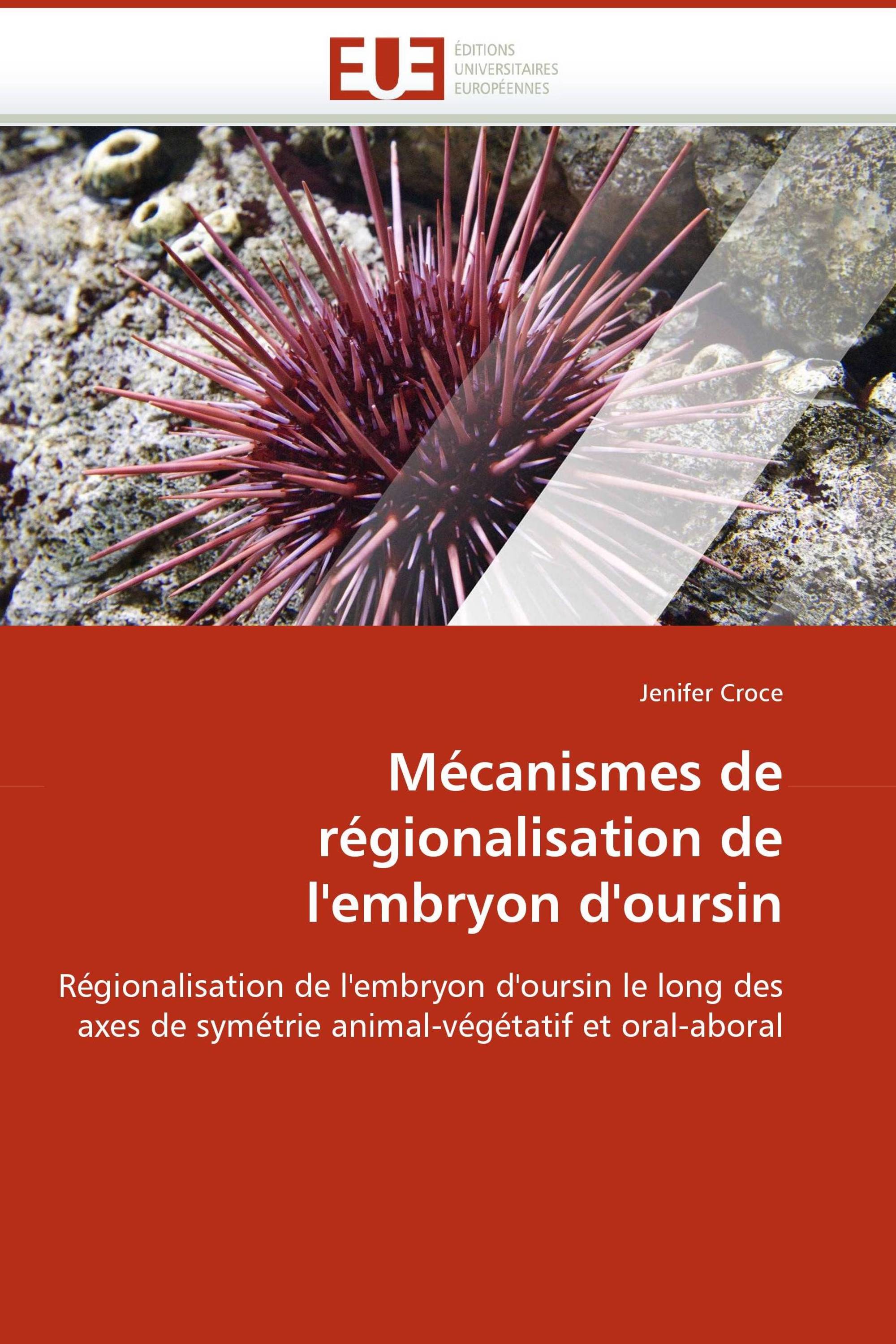 Mécanismes de régionalisation de l''embryon d''oursin