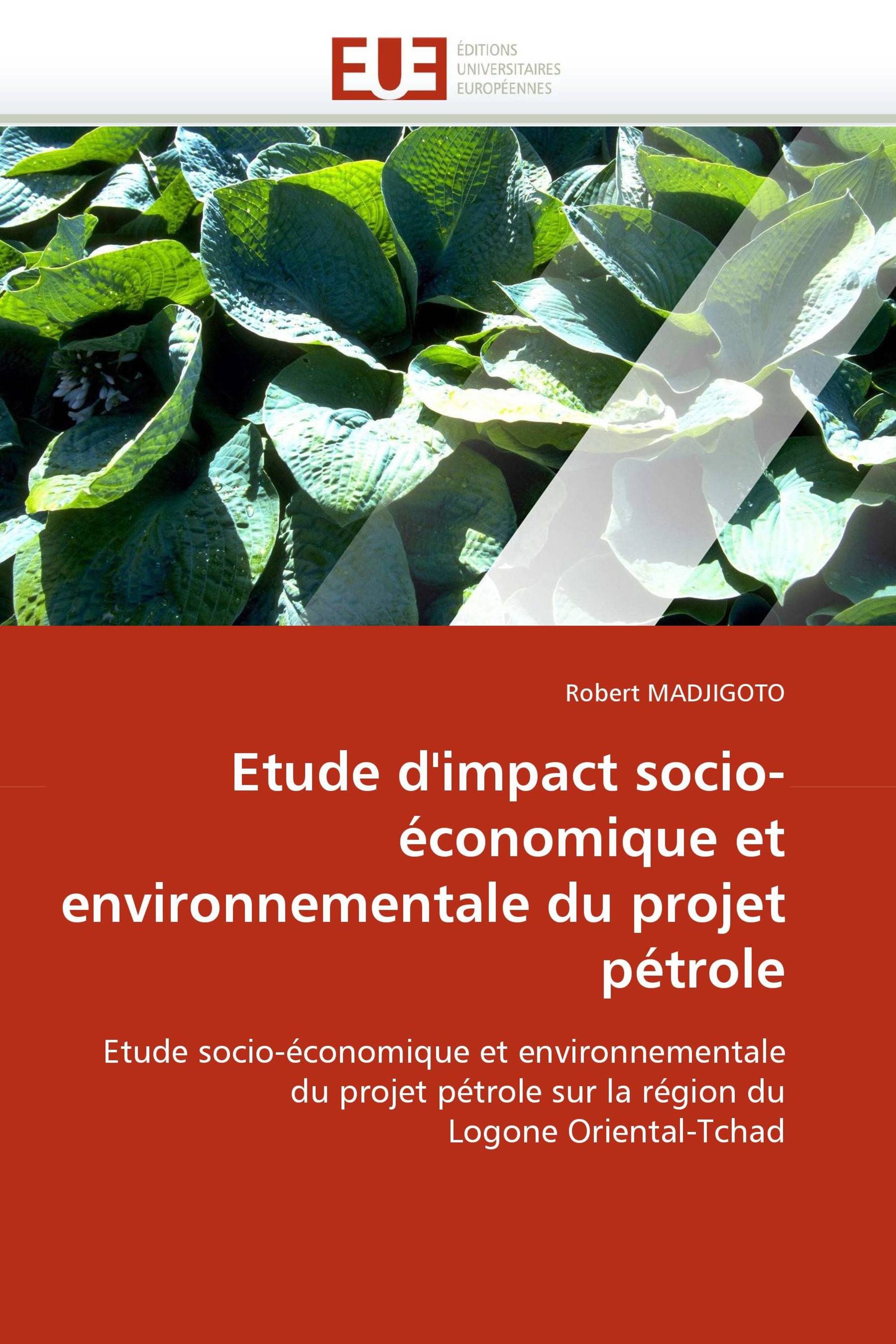 Etude d''impact socio-économique et environnementale du projet pétrole