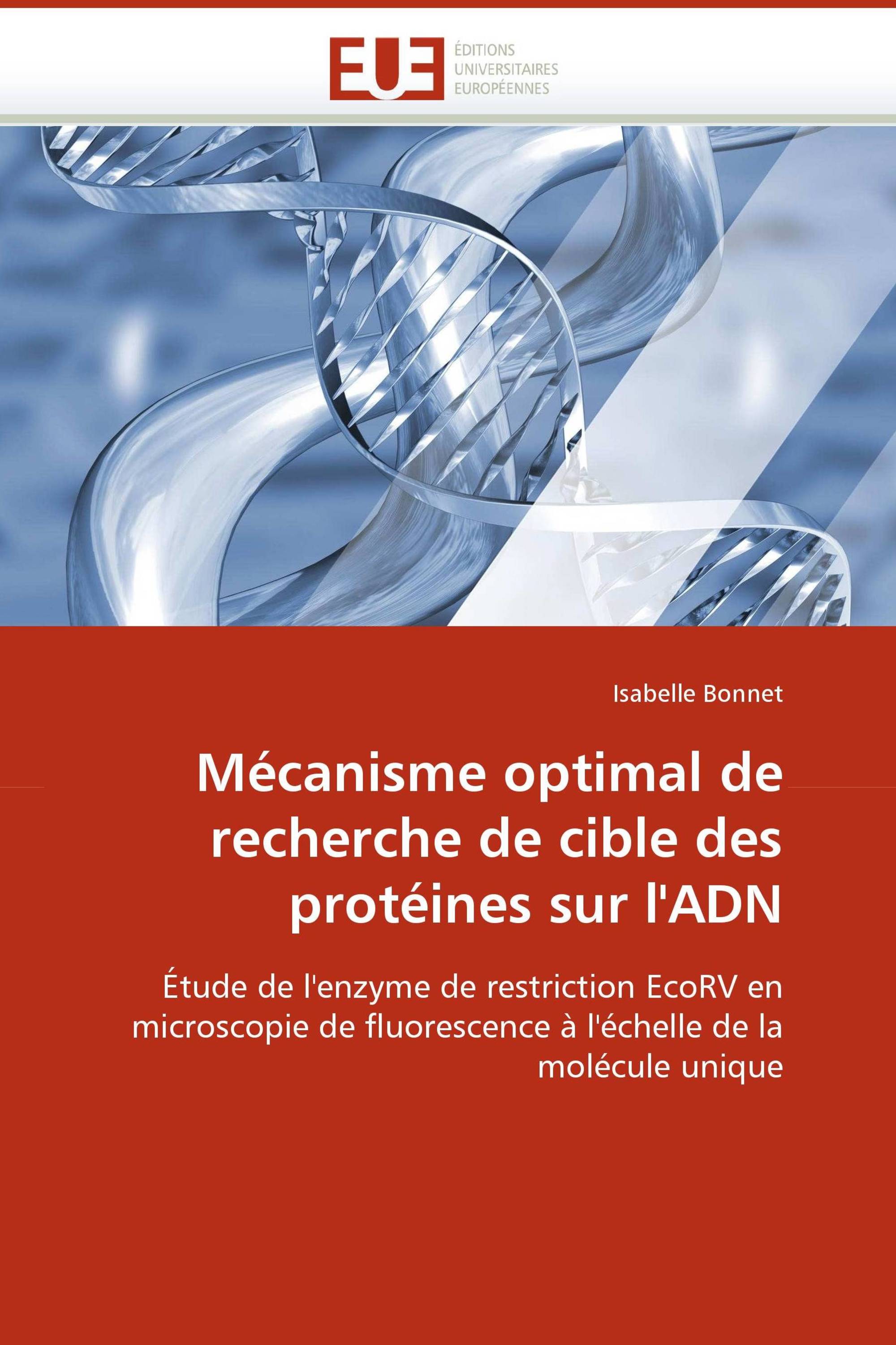 Mécanisme optimal de recherche de cible des protéines sur l''ADN