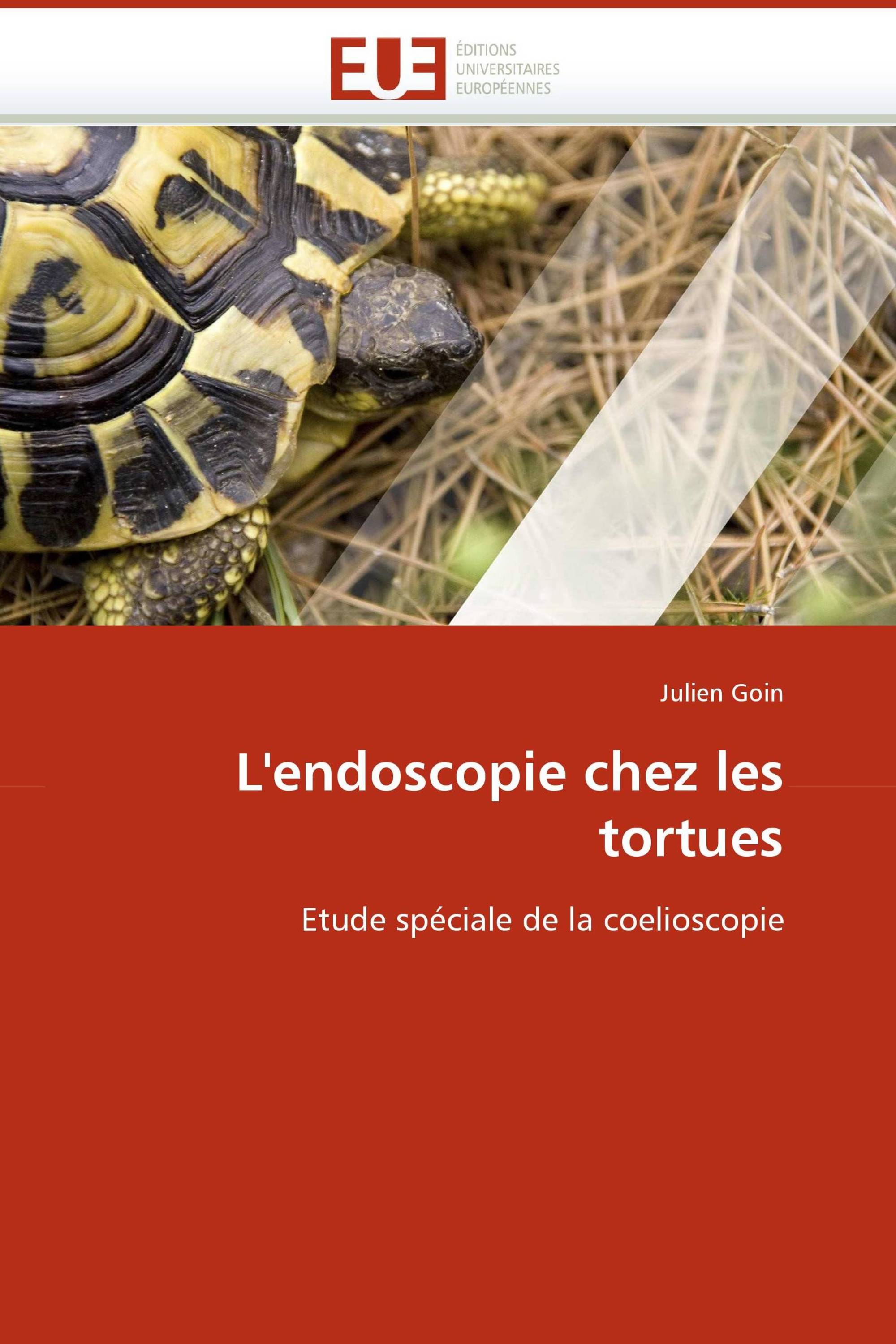 L''endoscopie chez les tortues