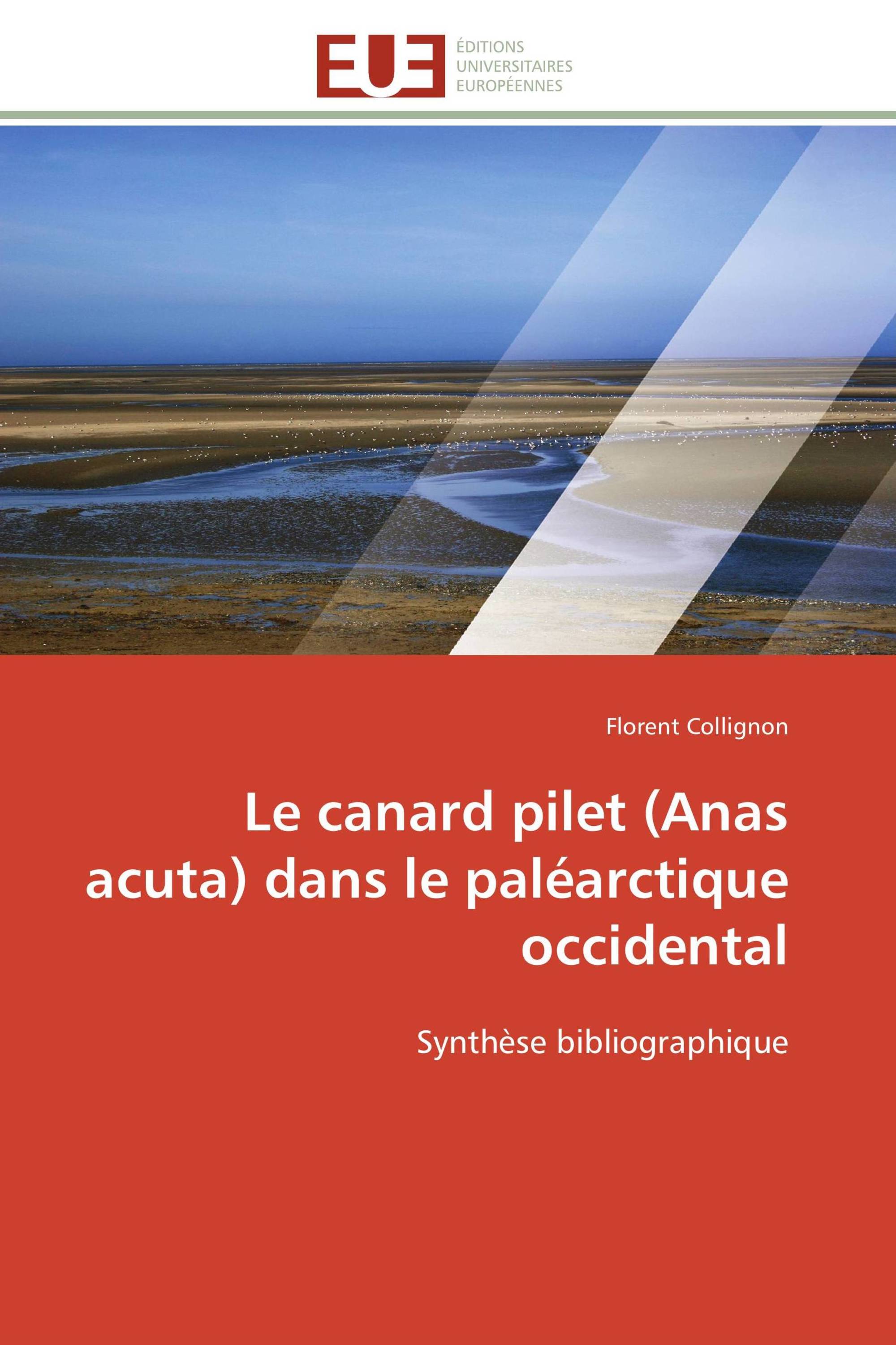 Le canard pilet (Anas acuta) dans le paléarctique occidental