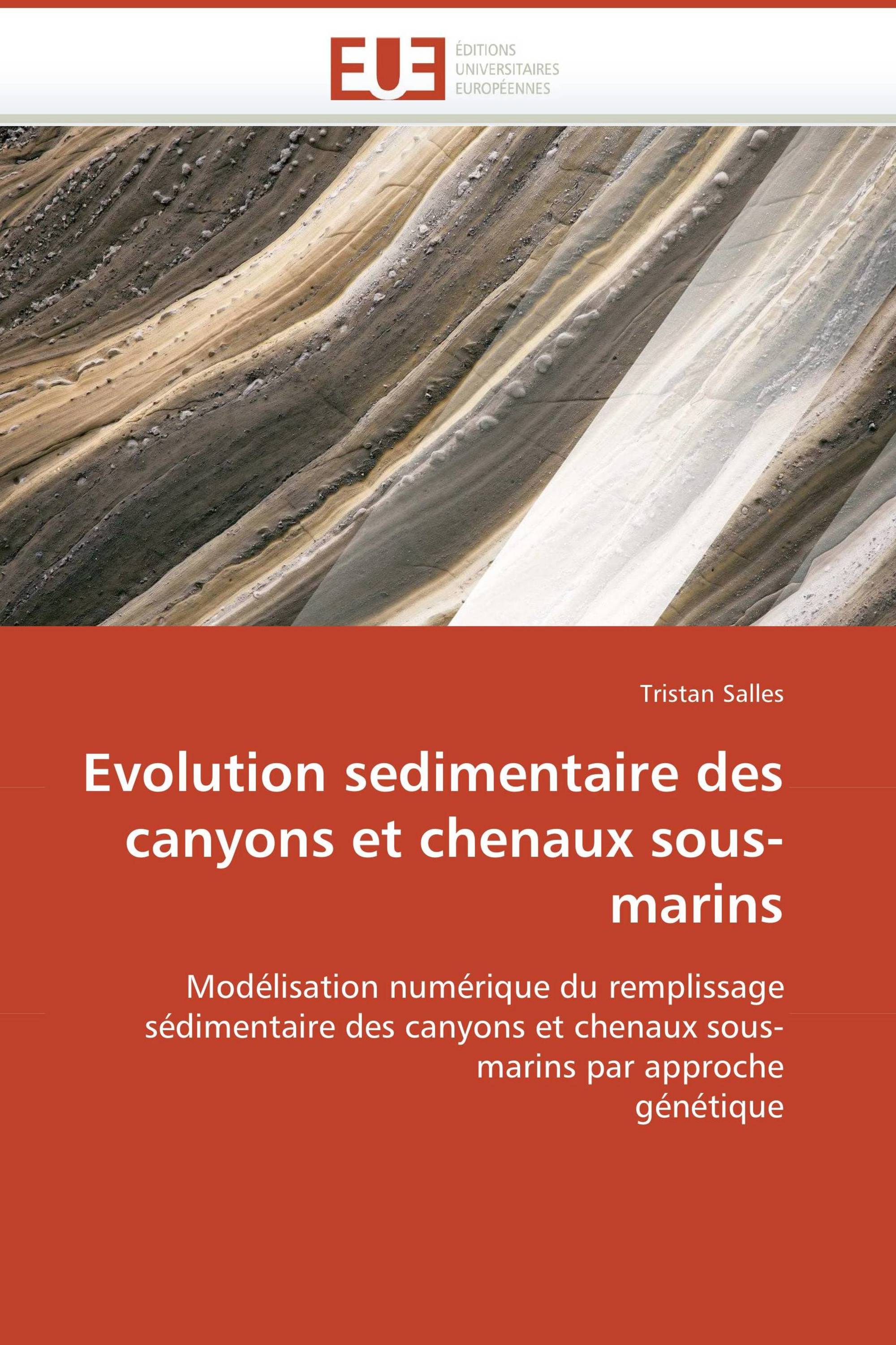 Evolution sedimentaire des canyons et chenaux sous-marins