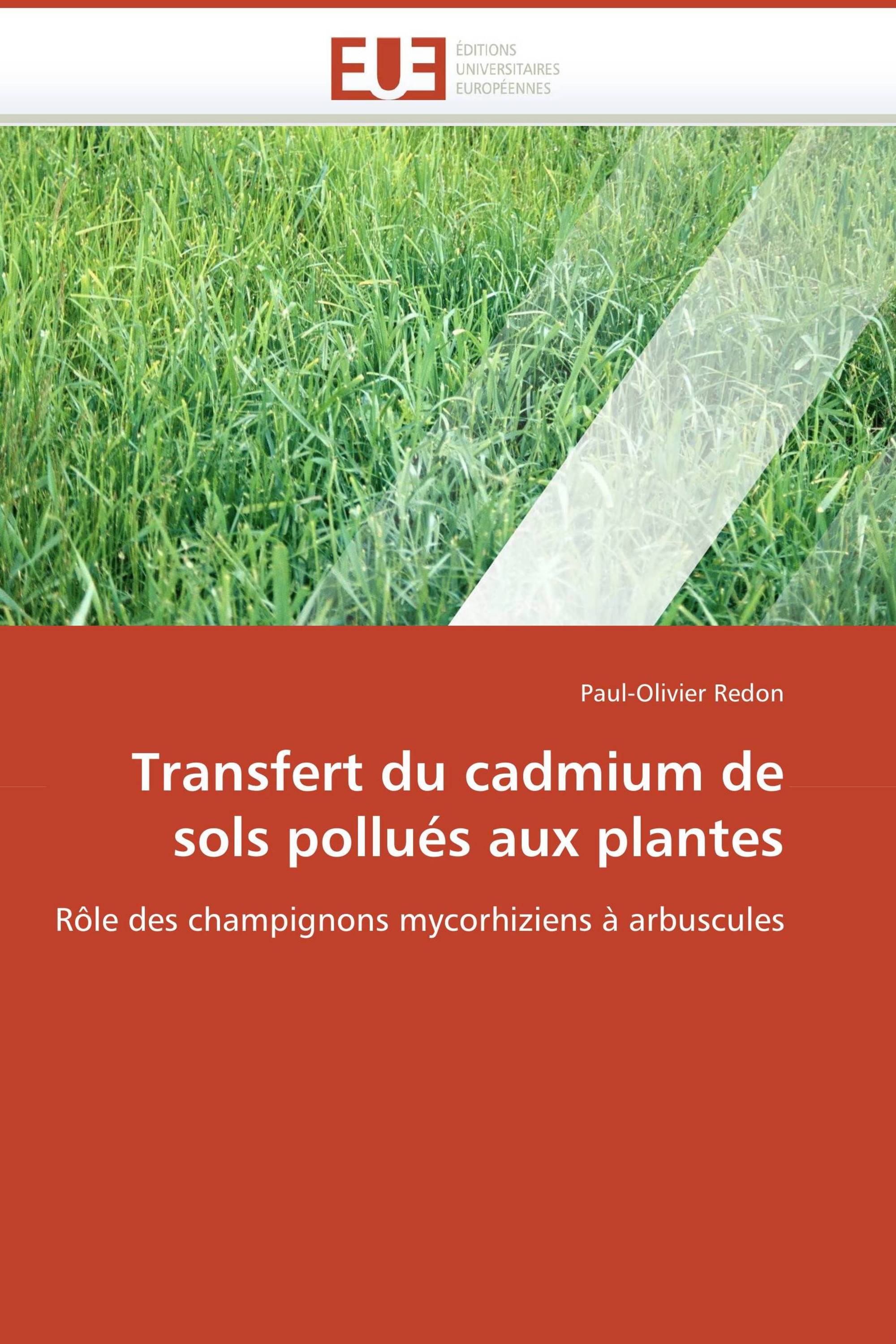 Transfert du cadmium de sols pollués aux plantes