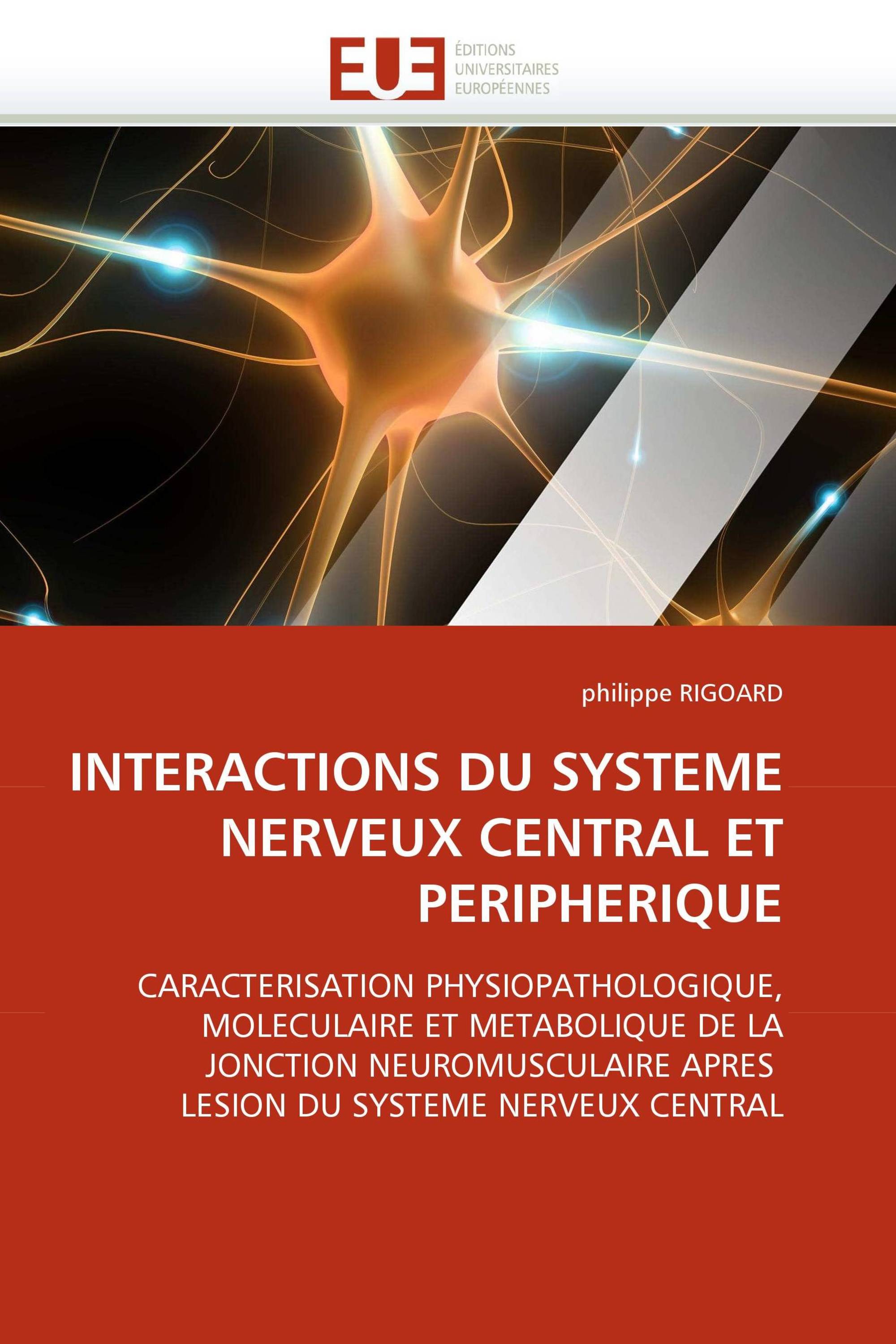 INTERACTIONS DU SYSTEME NERVEUX CENTRAL ET PERIPHERIQUE