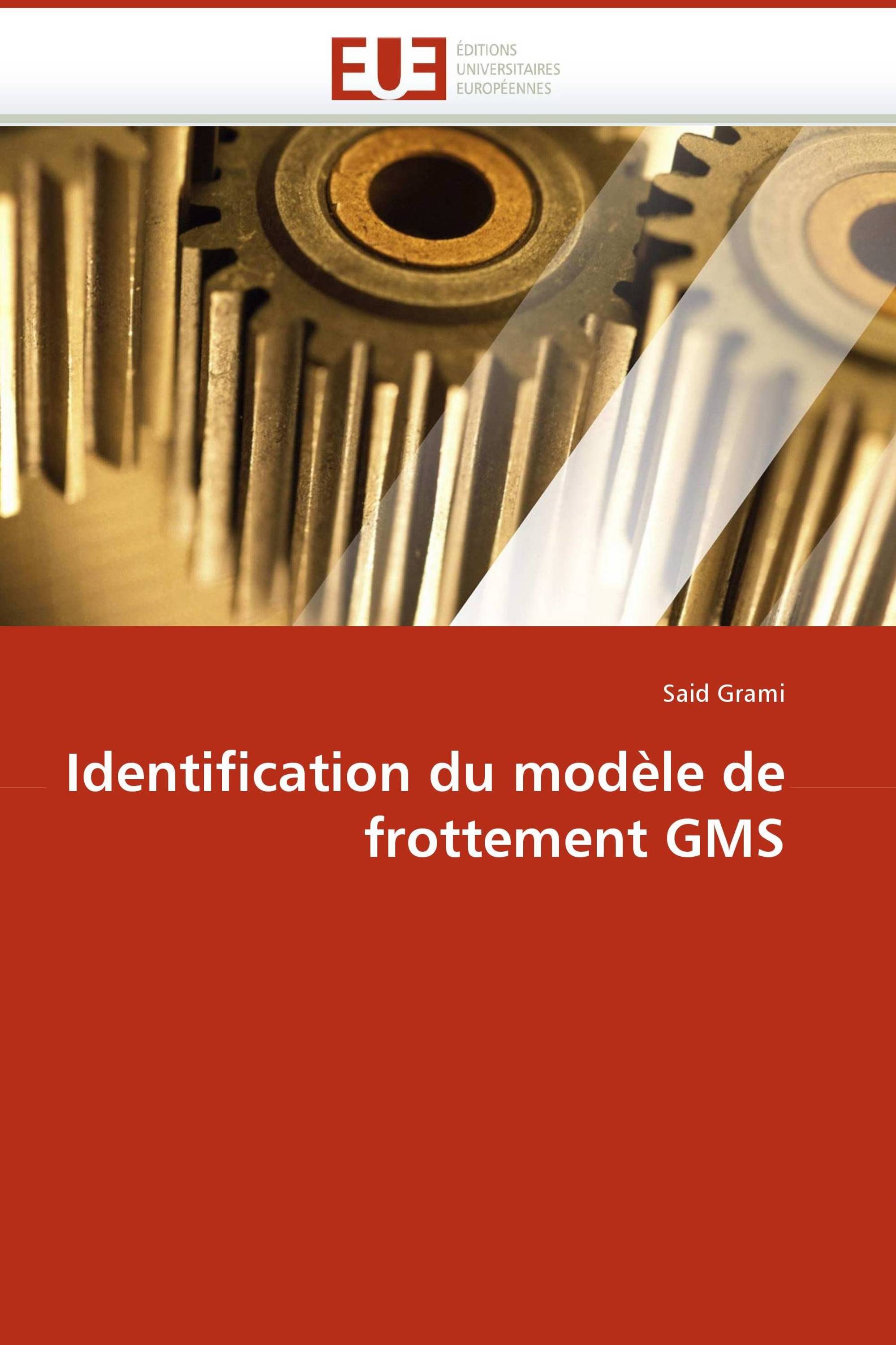 Identification du modèle de frottement GMS