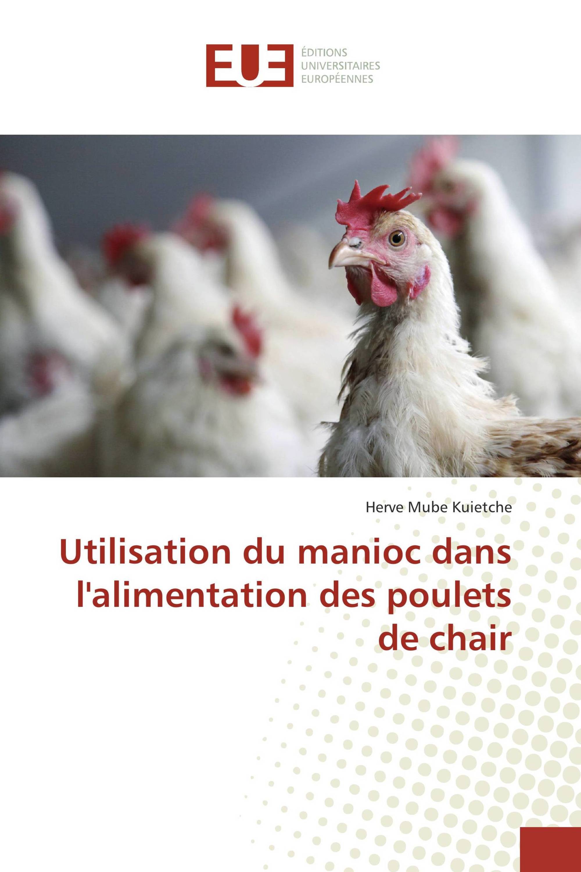 Utilisation du manioc dans l'alimentation des poulets de chair