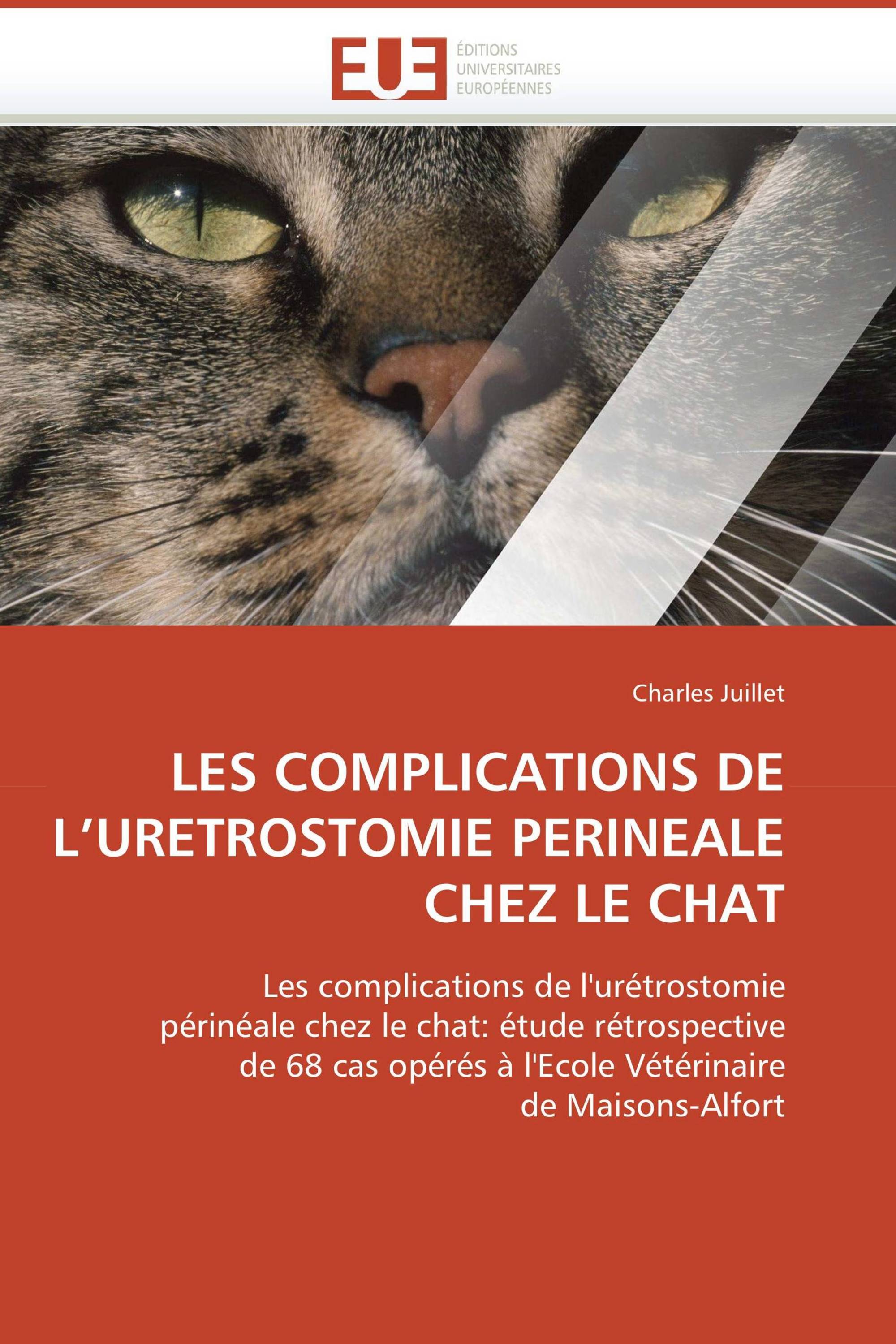 LES COMPLICATIONS DE L’URETROSTOMIE PERINEALE CHEZ LE CHAT