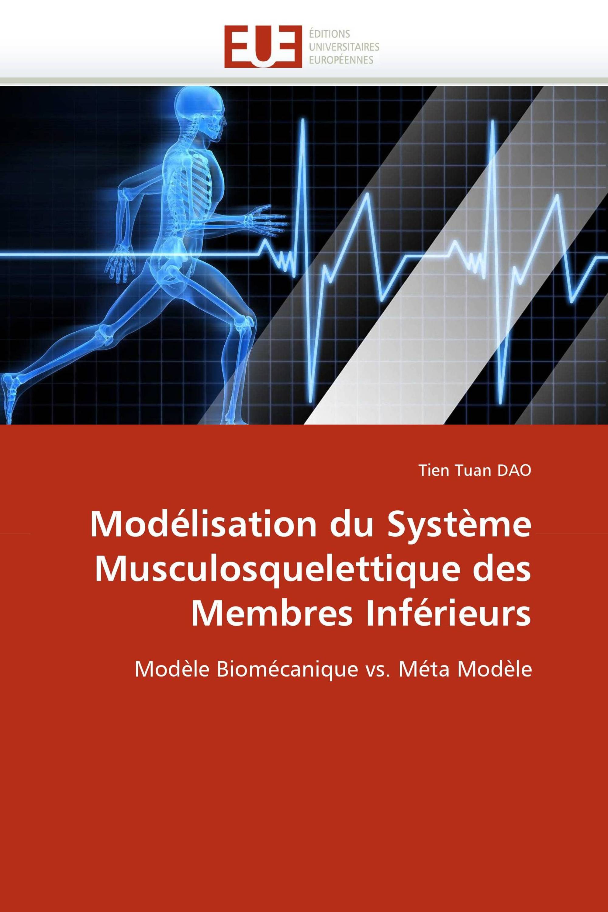 Modélisation du Système Musculosquelettique des Membres Inférieurs