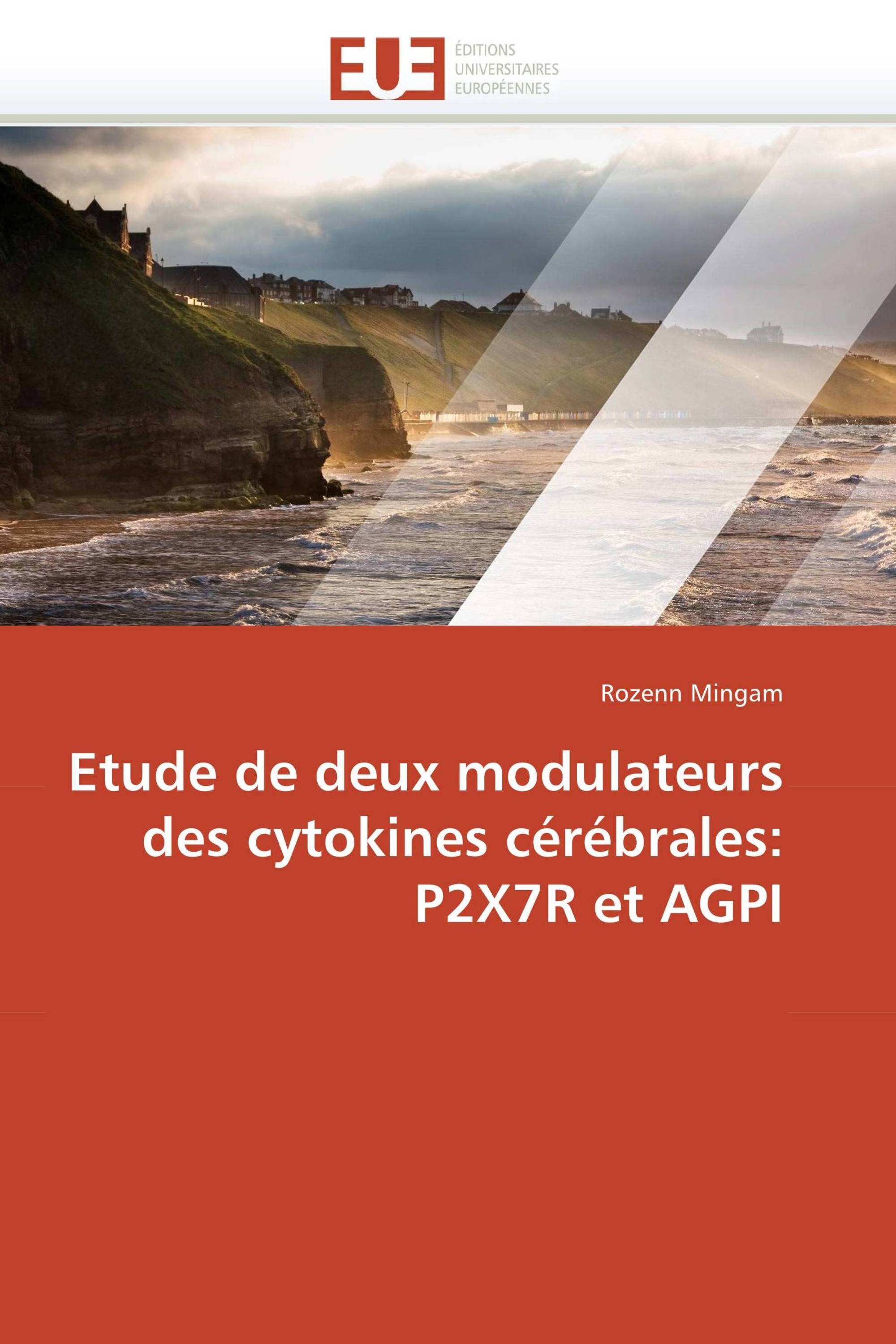 Etude de deux modulateurs des cytokines cérébrales: P2X7R et AGPI