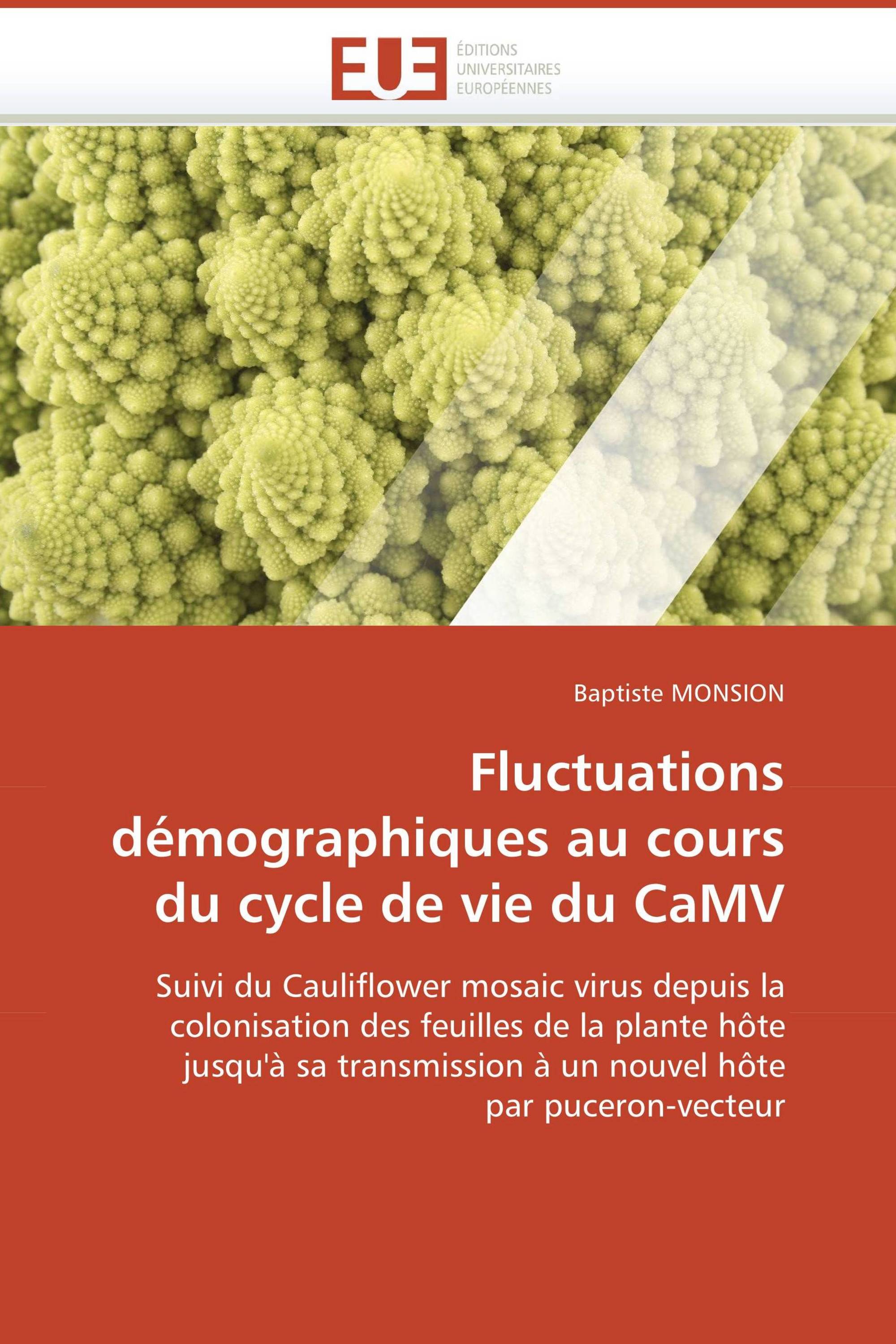 Fluctuations démographiques au cours du cycle de vie du CaMV