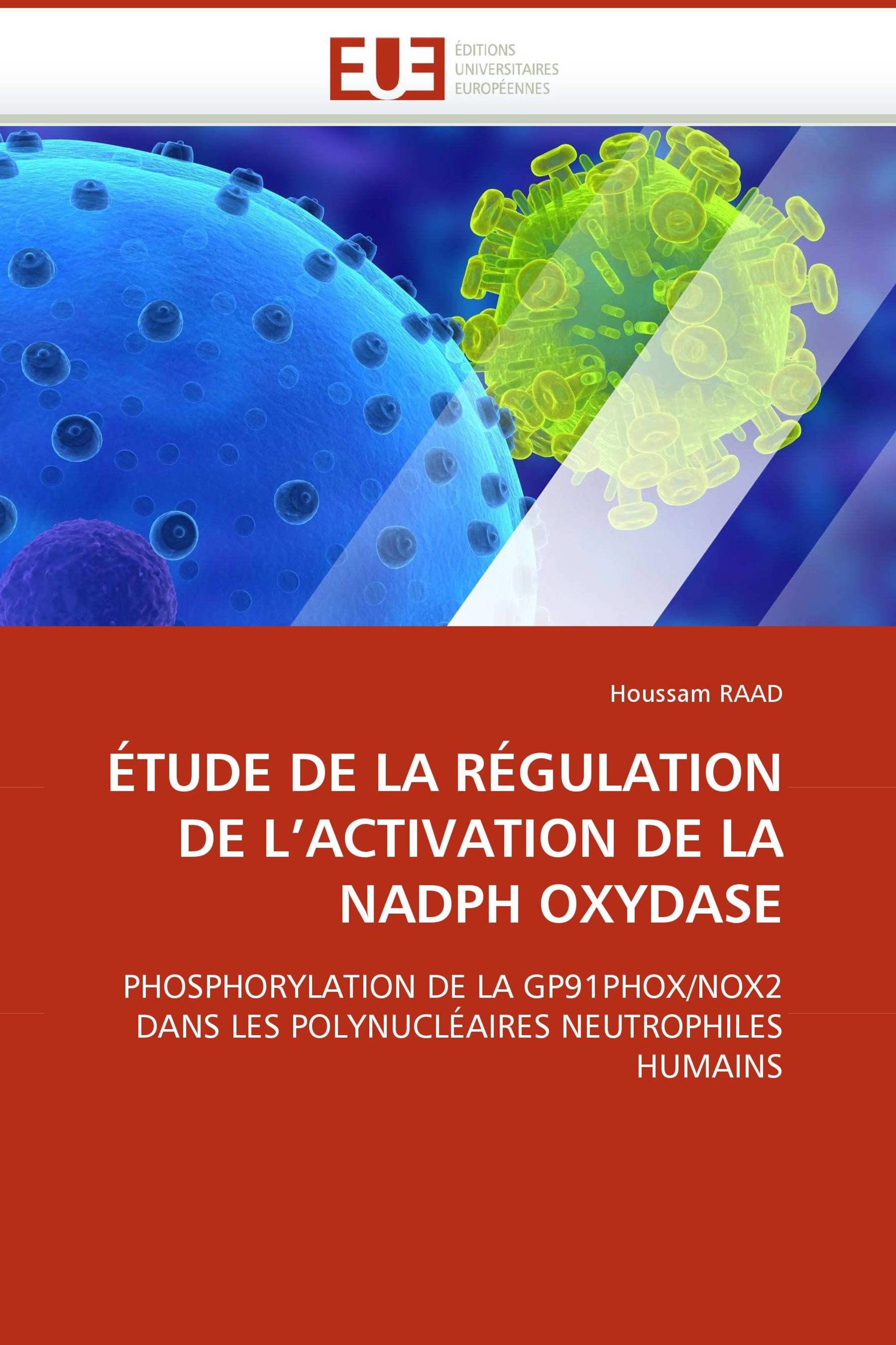 ÉTUDE DE LA RÉGULATION DE L''ACTIVATION DE LA NADPH OXYDASE