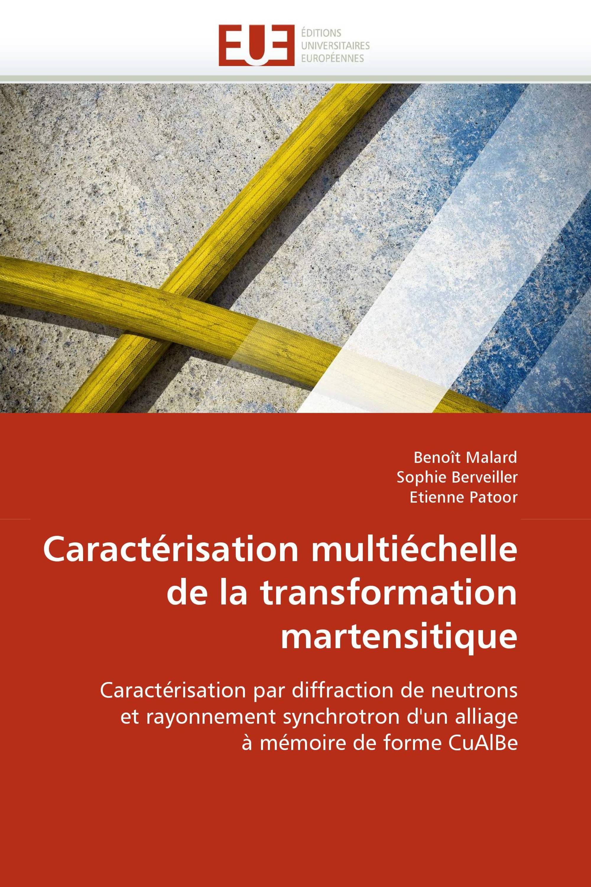 Caractérisation multiéchelle de la transformation martensitique