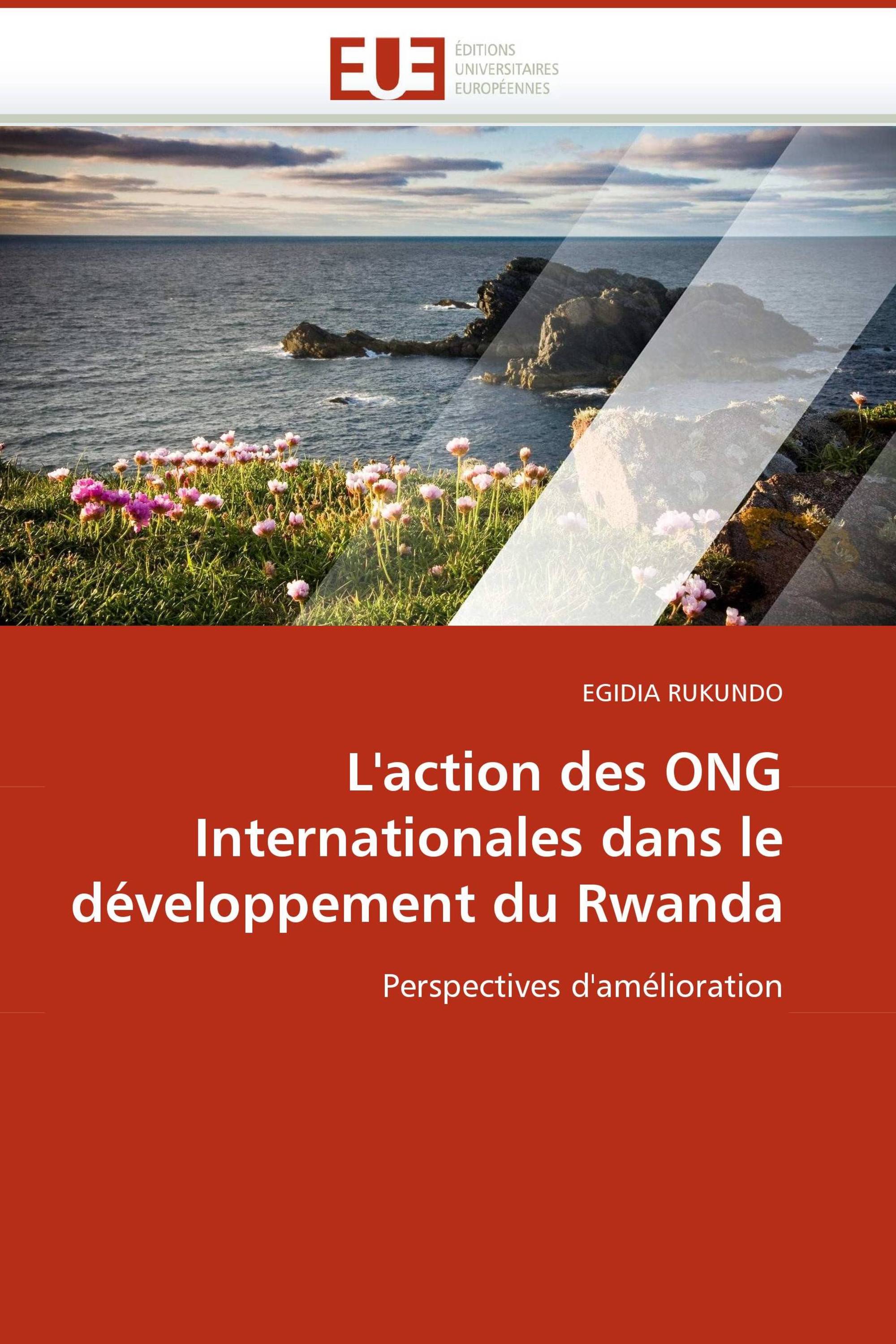 L''action des ONG Internationales dans le développement du Rwanda