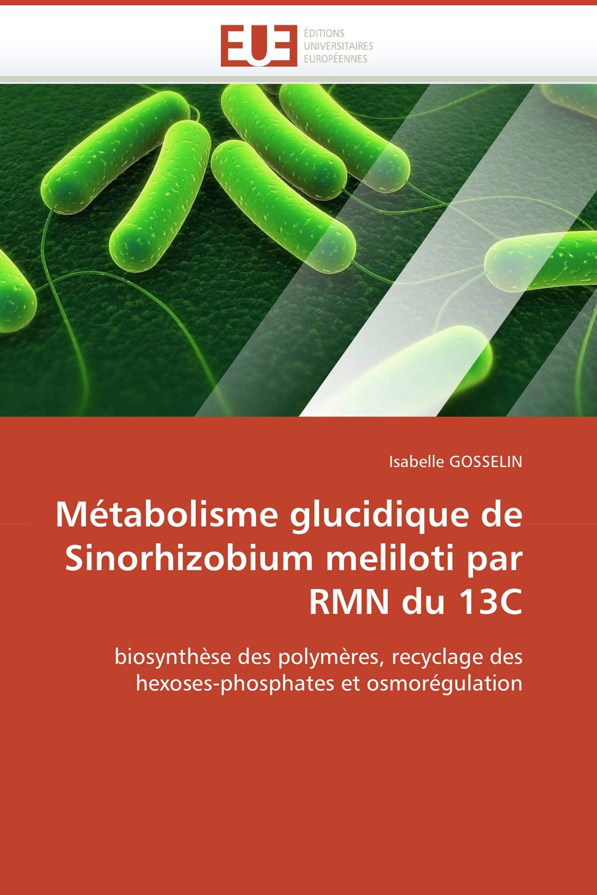 Métabolisme glucidique de Sinorhizobium meliloti par RMN du 13C