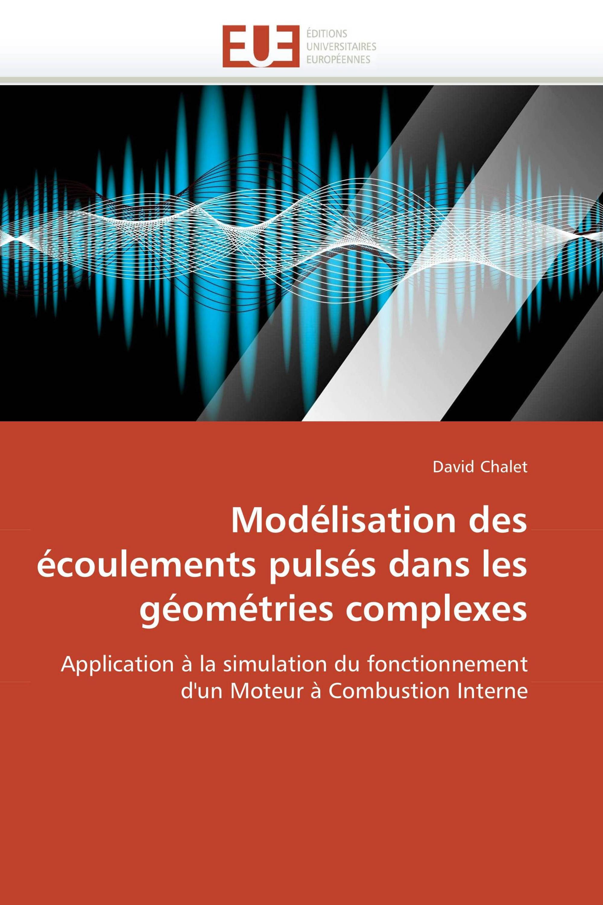 Modélisation des écoulements pulsés dans les géométries complexes