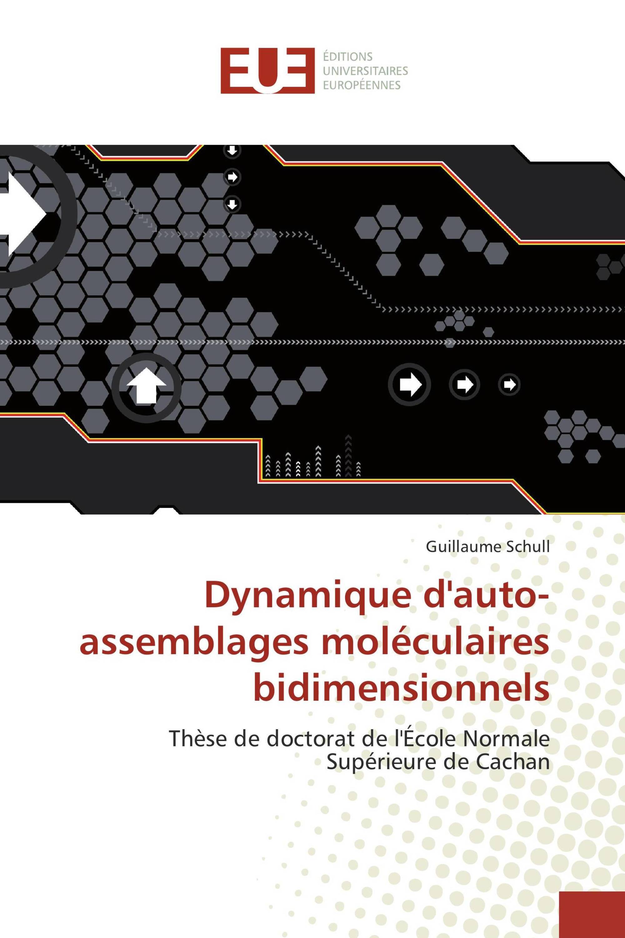 Dynamique d'auto-assemblages moléculaires bidimensionnels