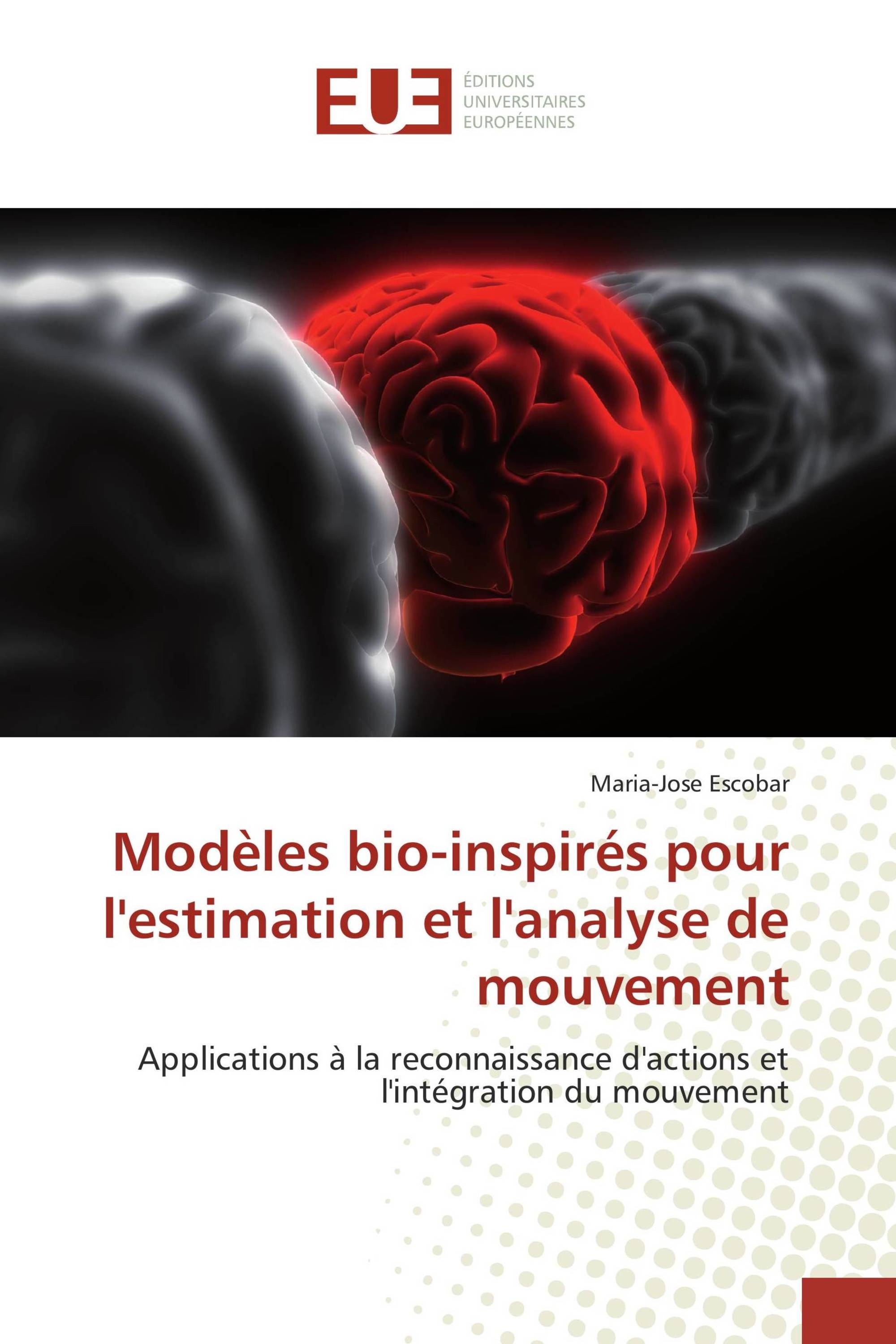 Modèles bio-inspirés pour l'estimation et l'analyse de mouvement