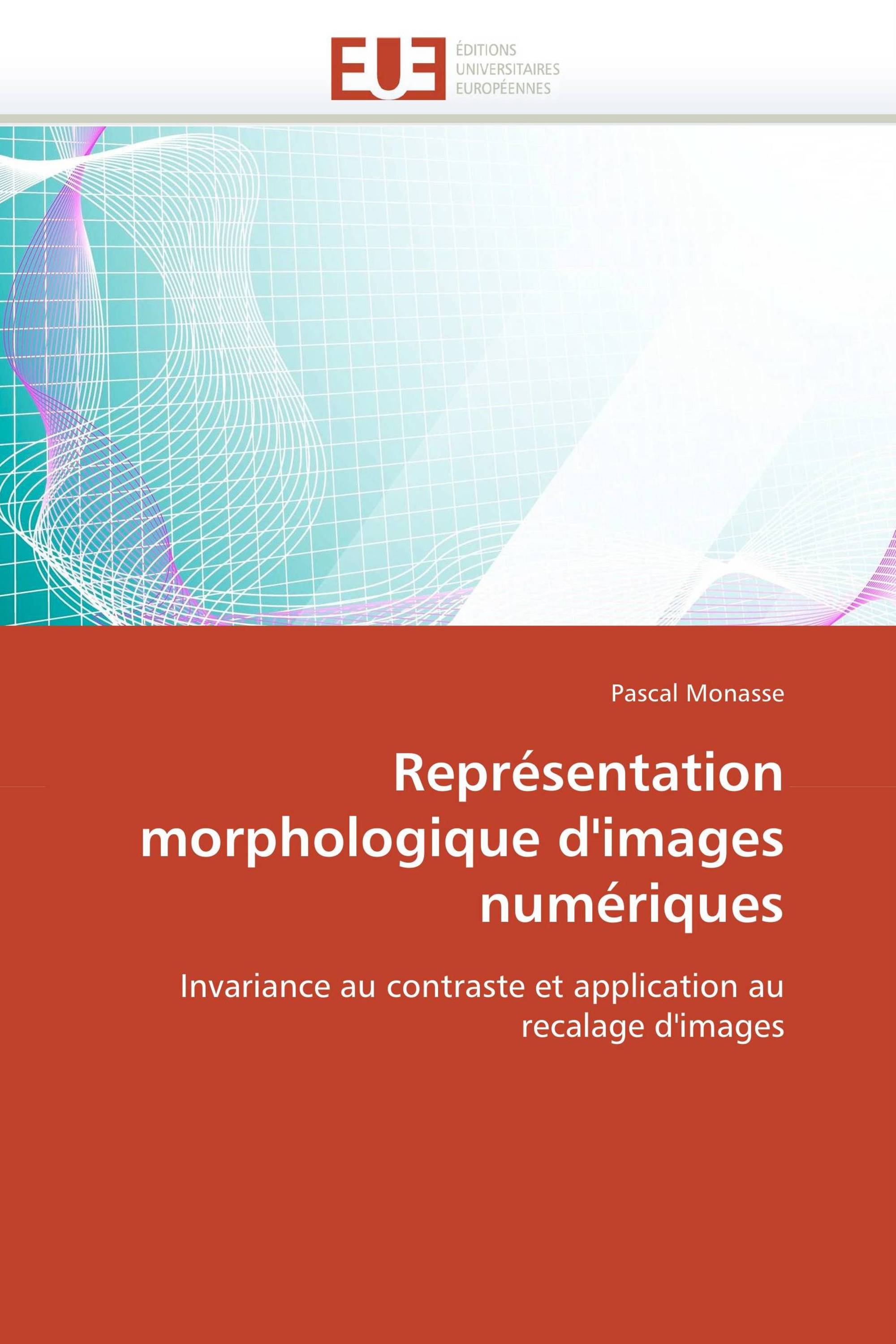 Représentation morphologique d'images numériques