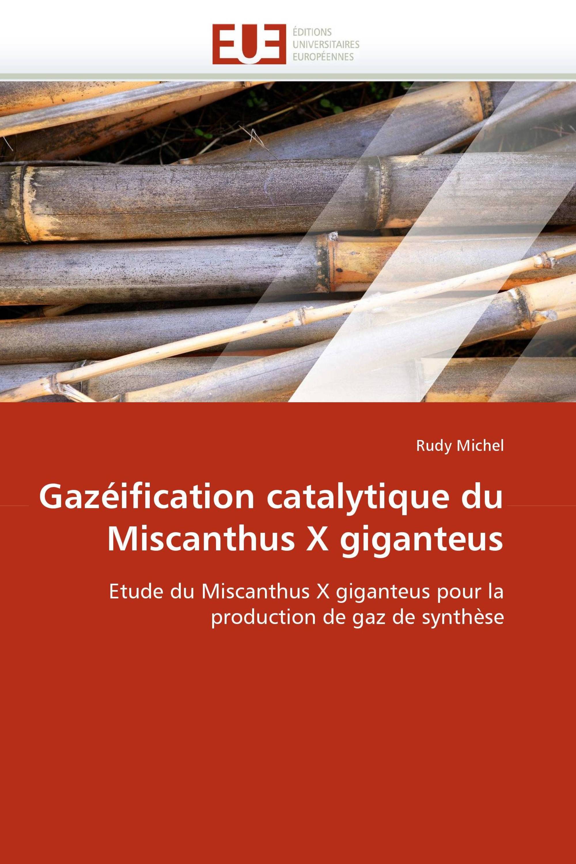 Gazéification catalytique du Miscanthus X giganteus