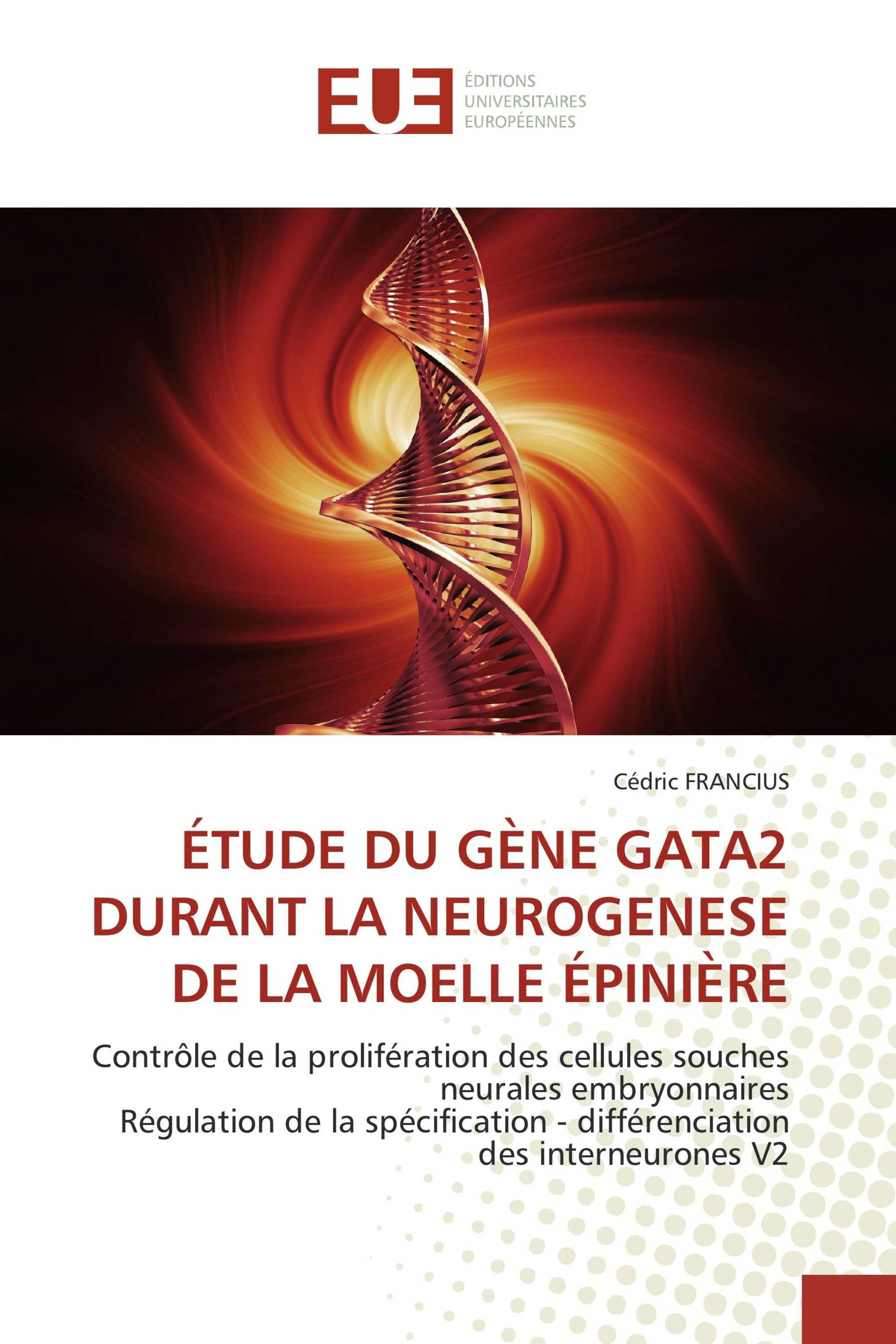 ÉTUDE DU GÈNE GATA2 DURANT LA NEUROGENESE DE LA MOELLE ÉPINIÈRE