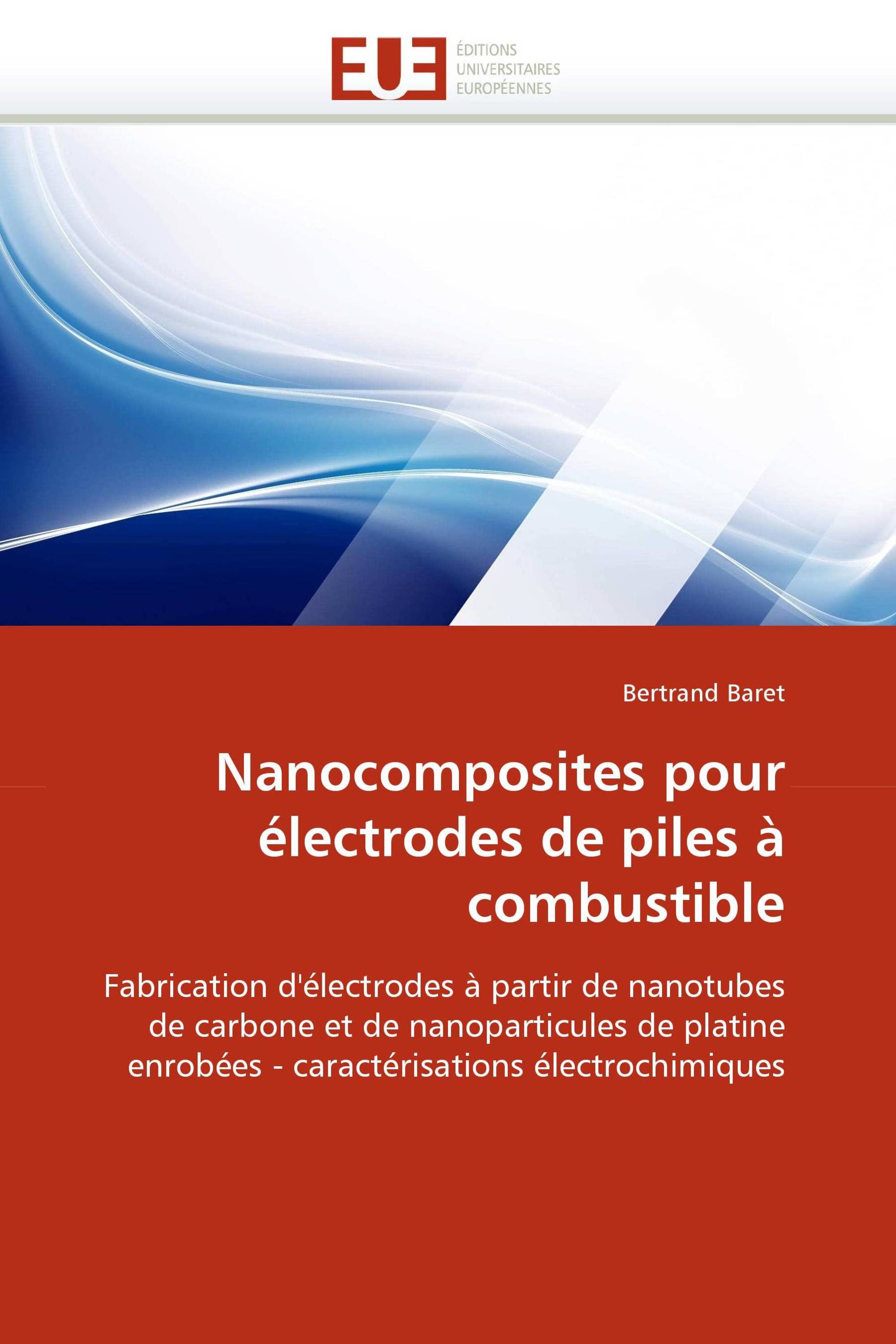 Nanocomposites pour électrodes de piles à combustible