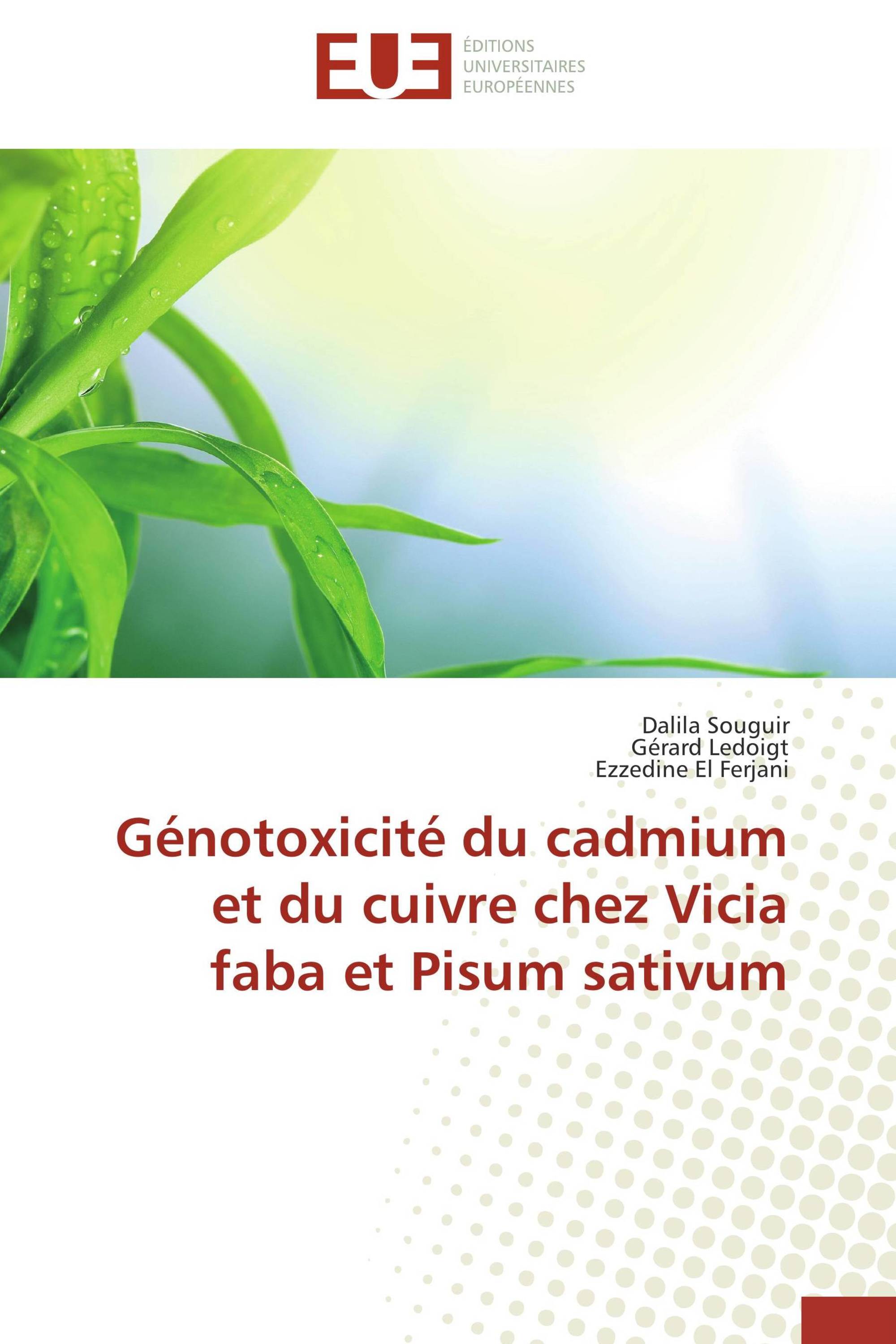 Génotoxicité du cadmium et du cuivre chez Vicia faba et Pisum sativum