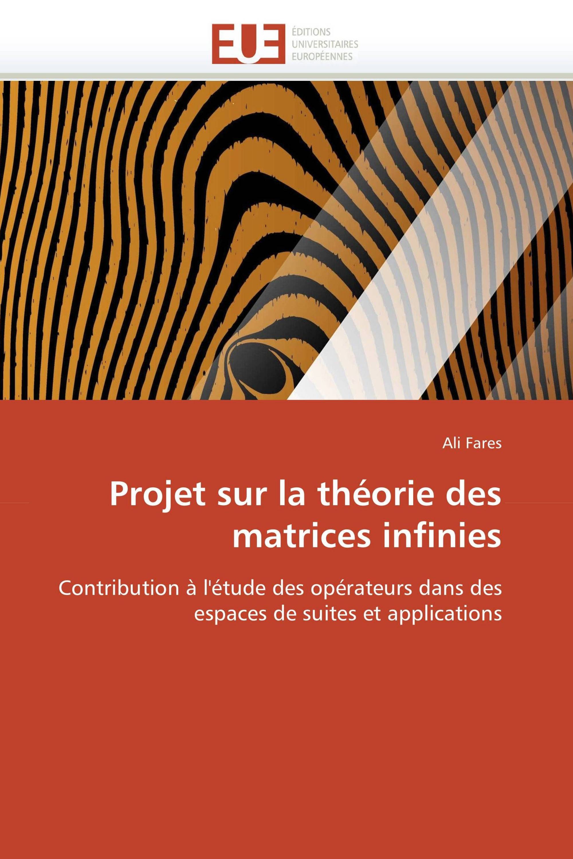 Projet sur la théorie des matrices infinies