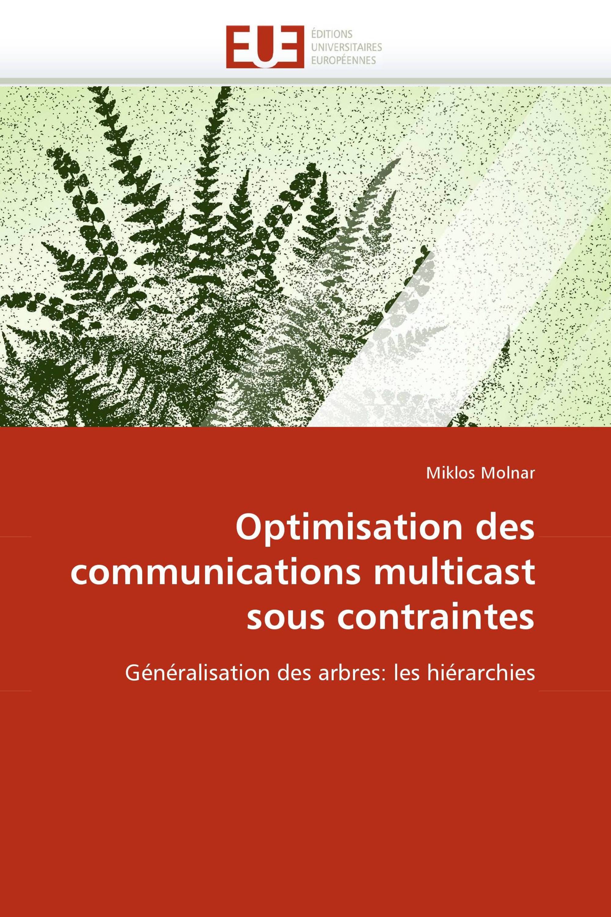 Optimisation des communications multicast sous contraintes