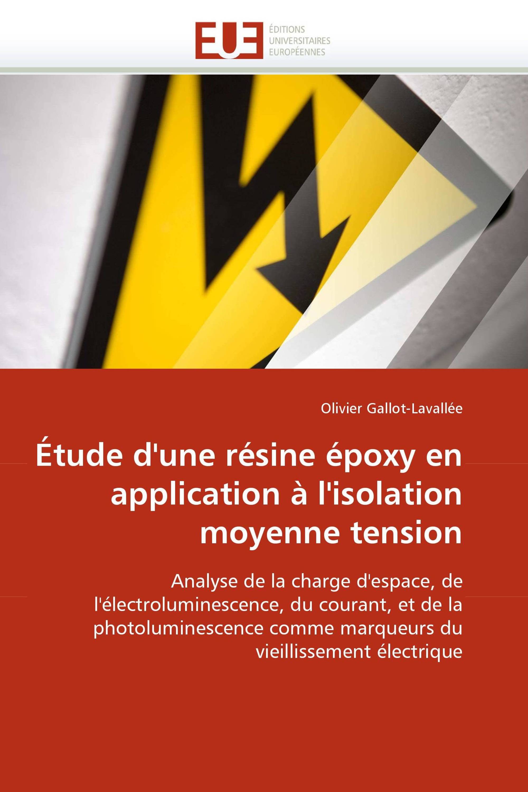 Étude d'une résine époxy en application à l'isolation moyenne tension