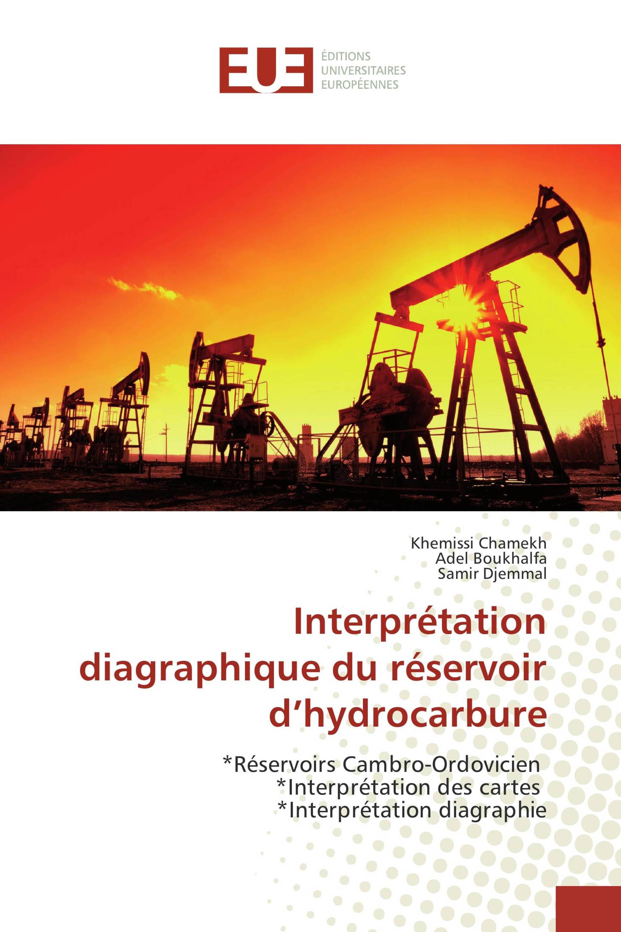 Interprétation diagraphique du réservoir d’hydrocarbure