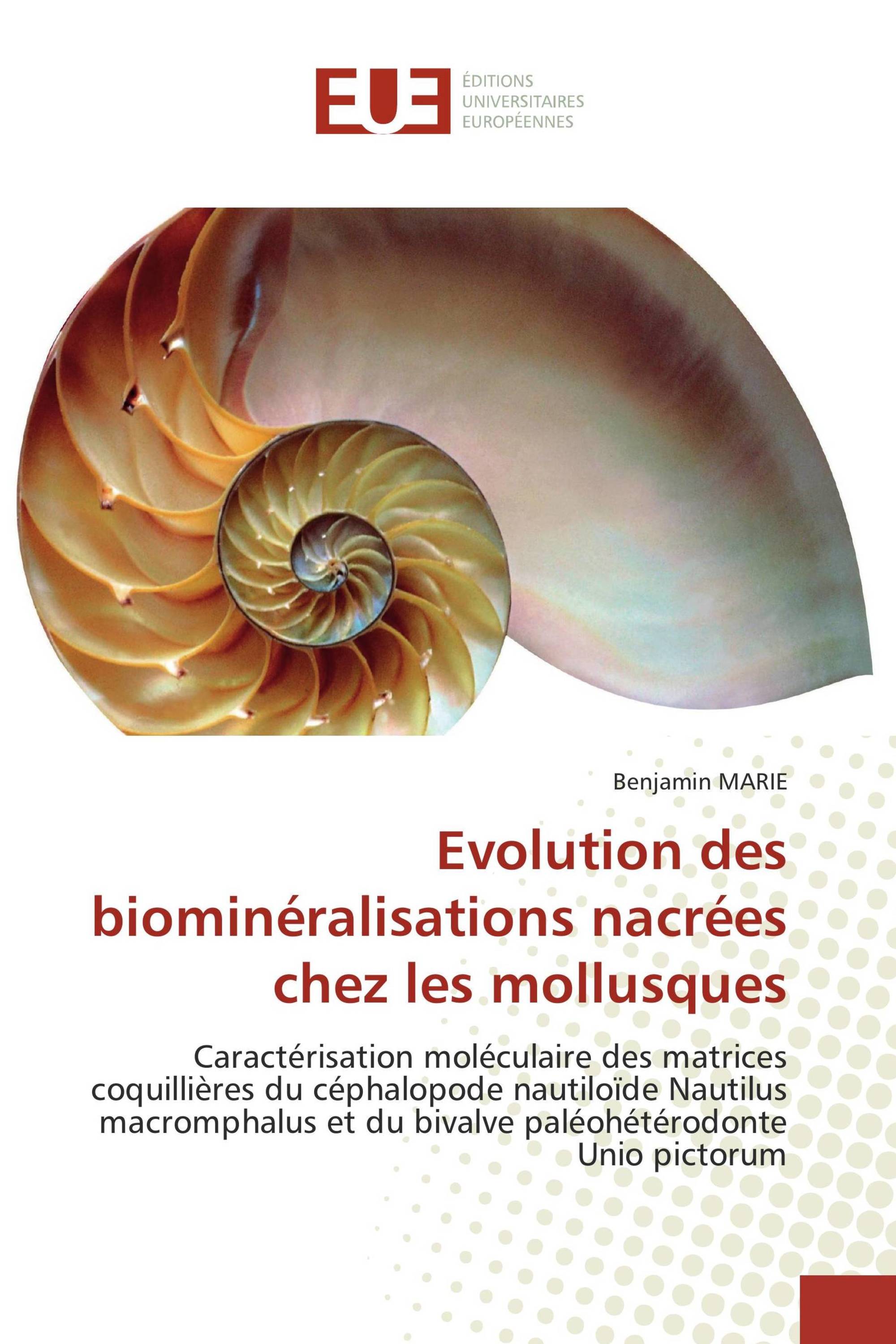 Evolution des biominéralisations nacrées chez les mollusques