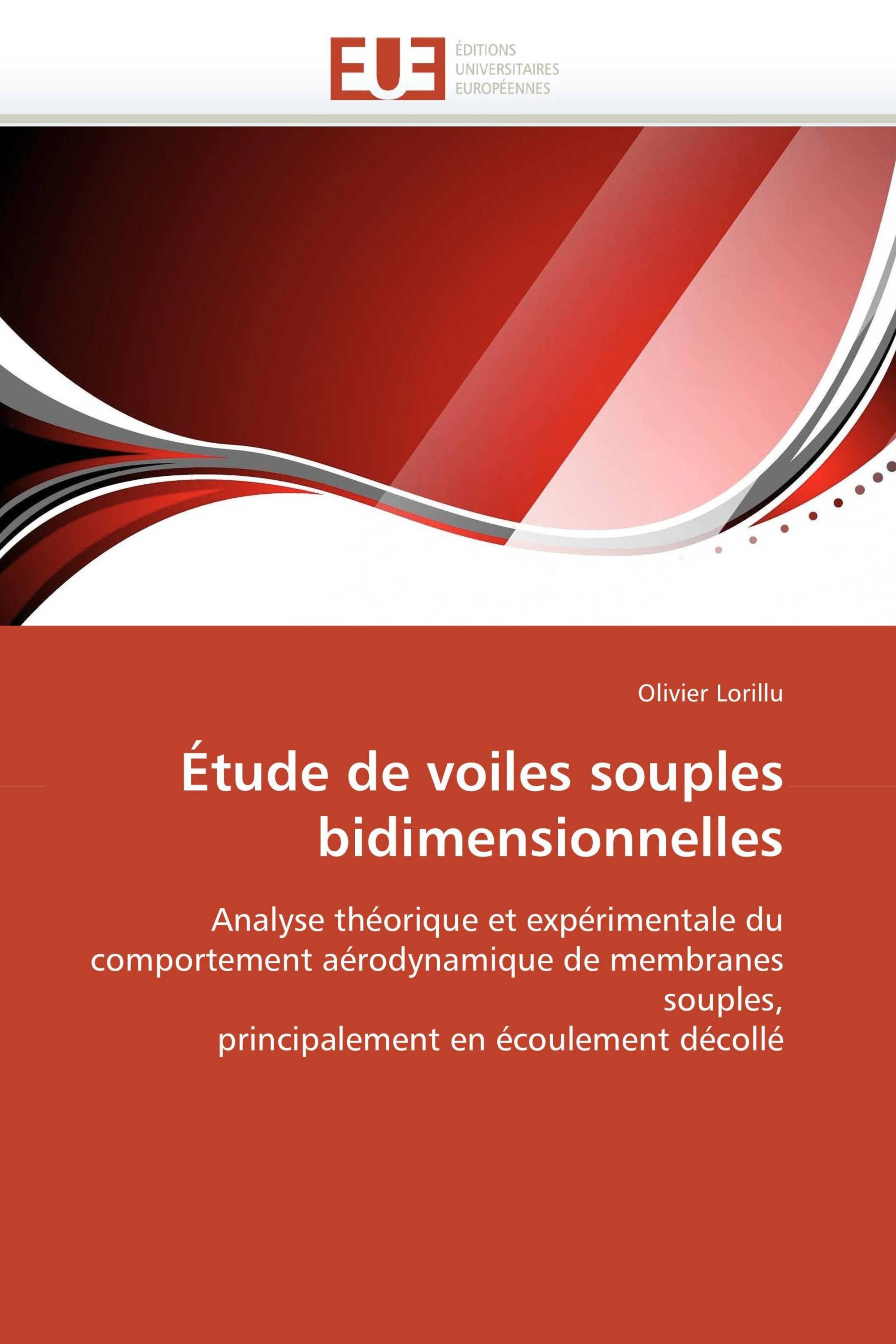 Étude de voiles souples bidimensionnelles