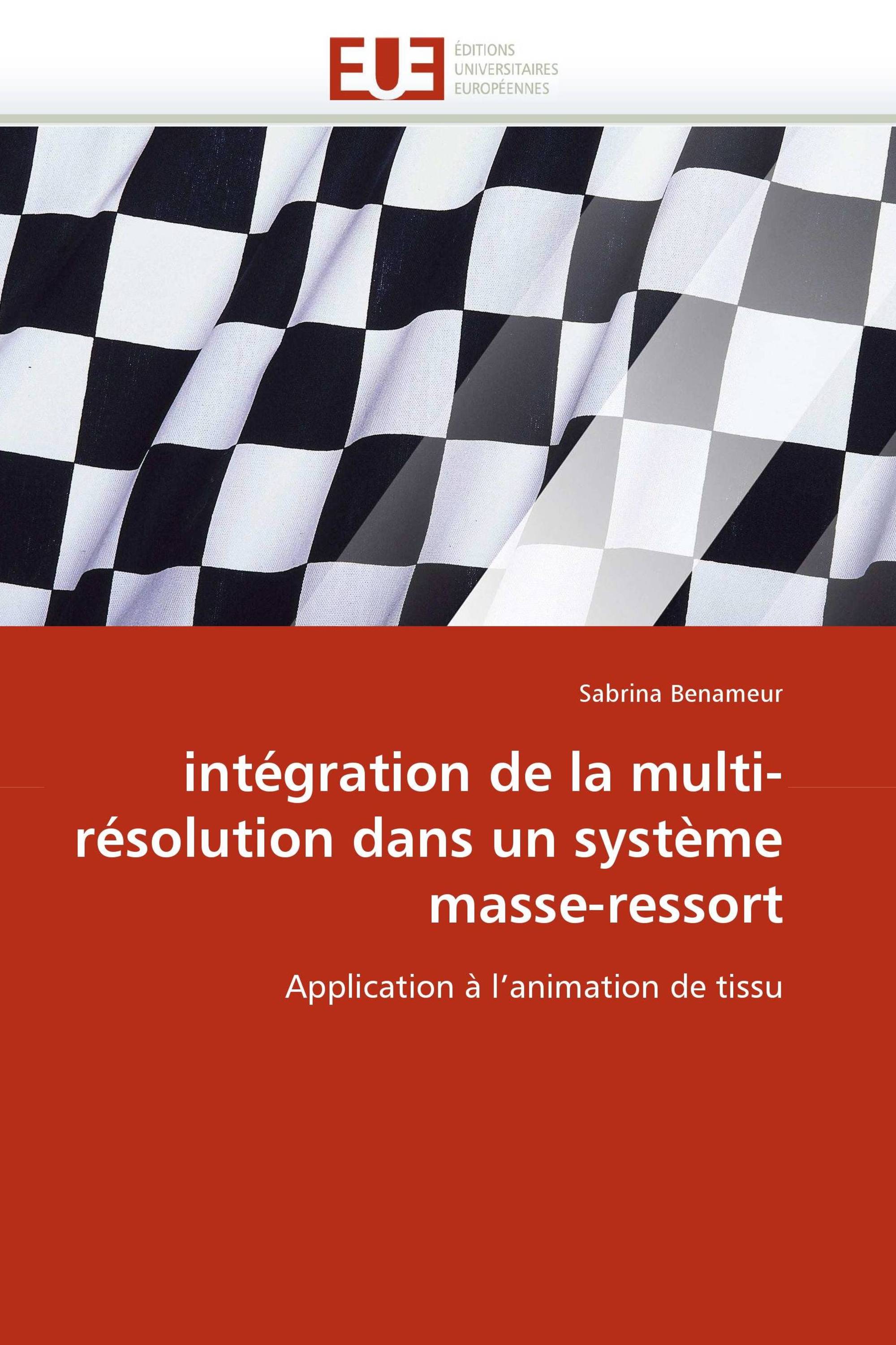 intégration de la multi-résolution dans un système masse-ressort