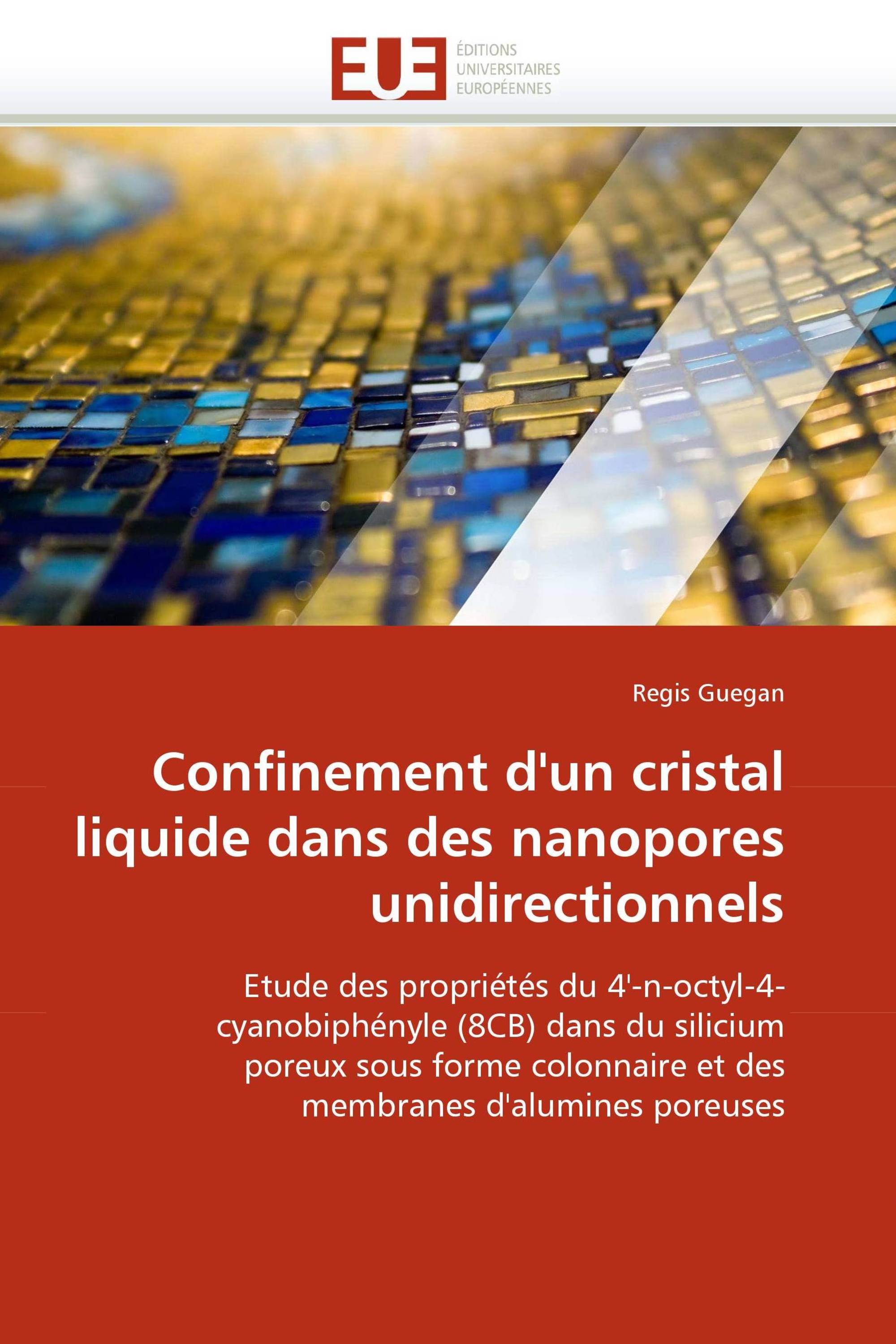 Confinement d'un cristal liquide dans des nanopores unidirectionnels