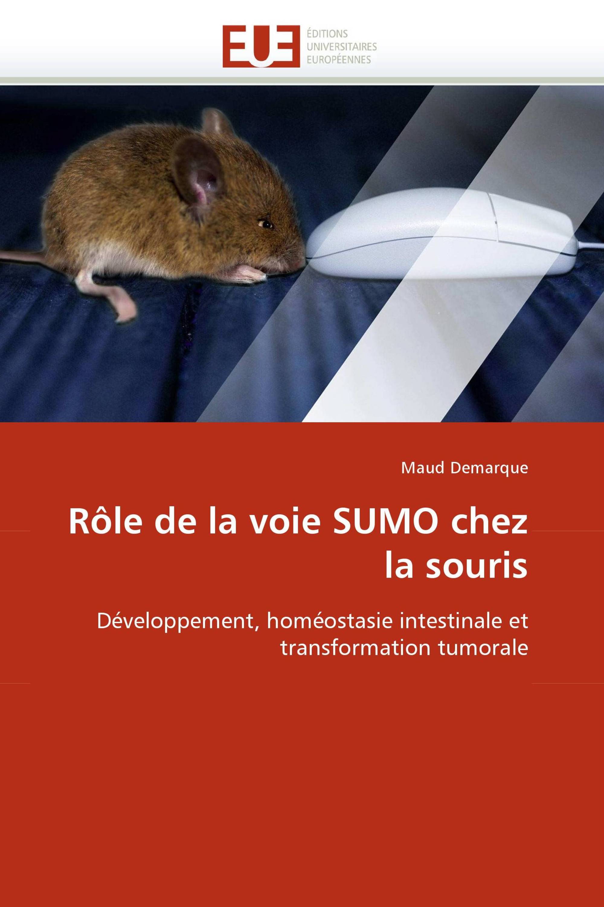 Rôle de la voie SUMO chez la souris