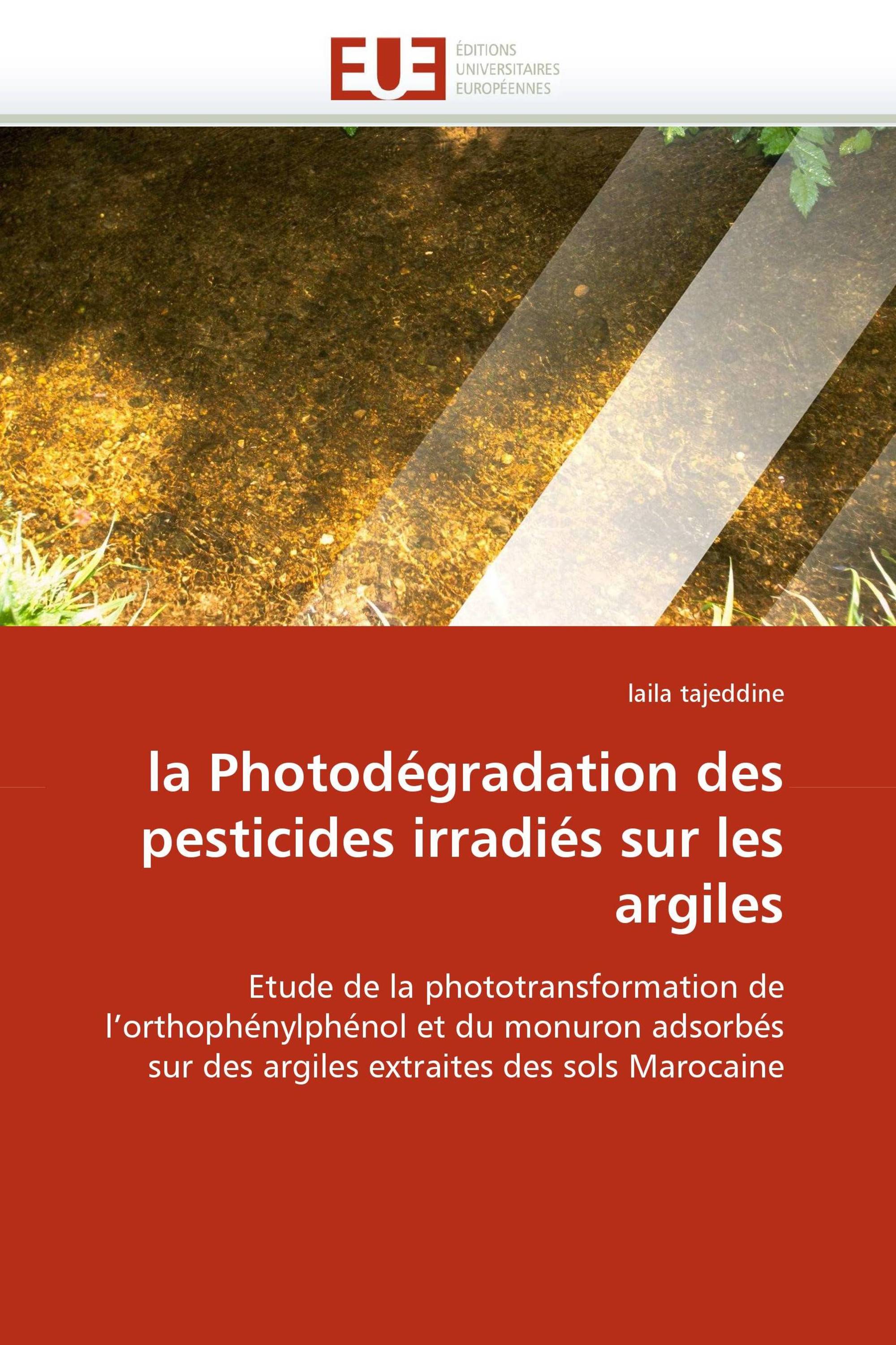 la Photodégradation des pesticides irradiés sur les argiles