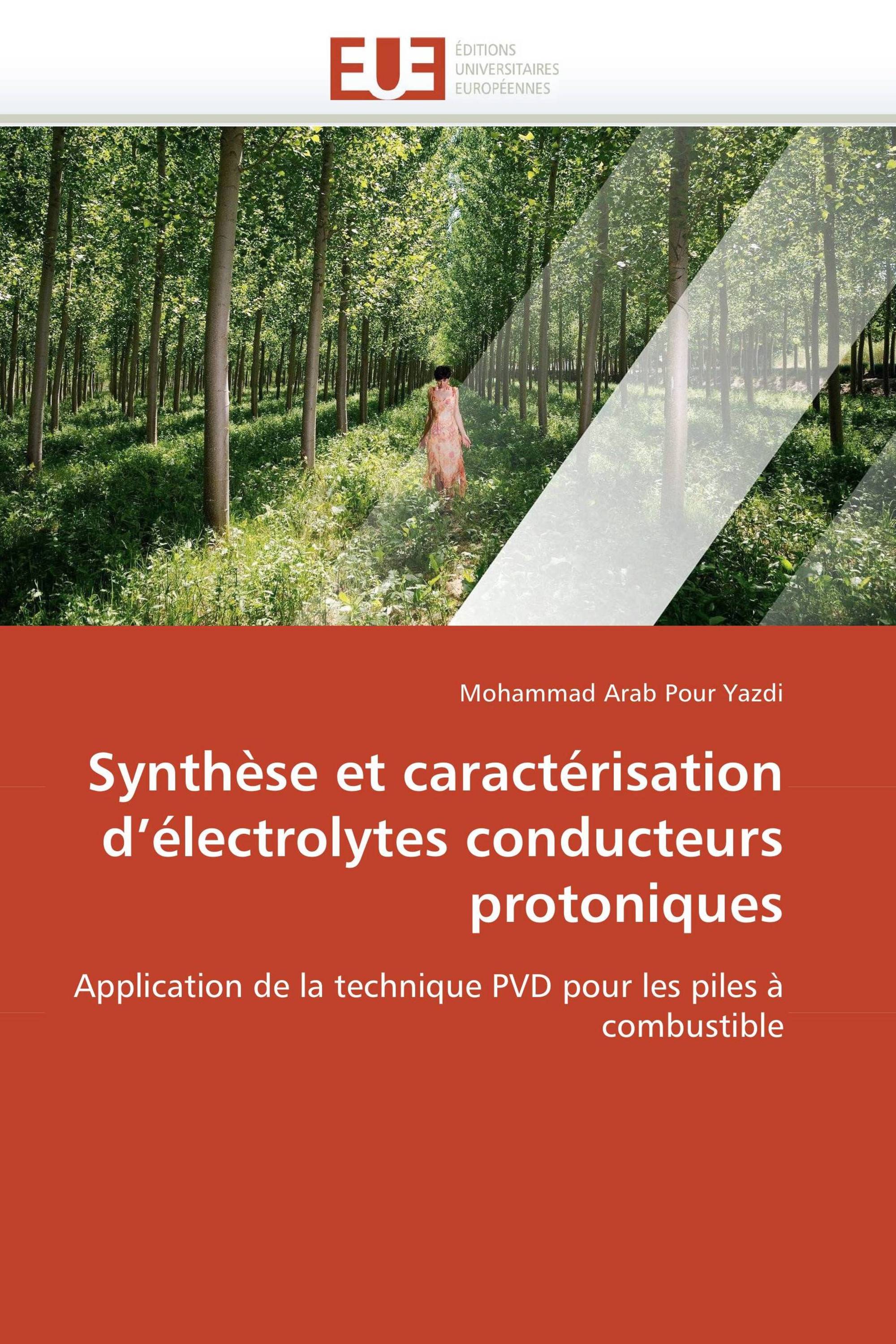 Synthèse et caractérisation d’électrolytes conducteurs protoniques