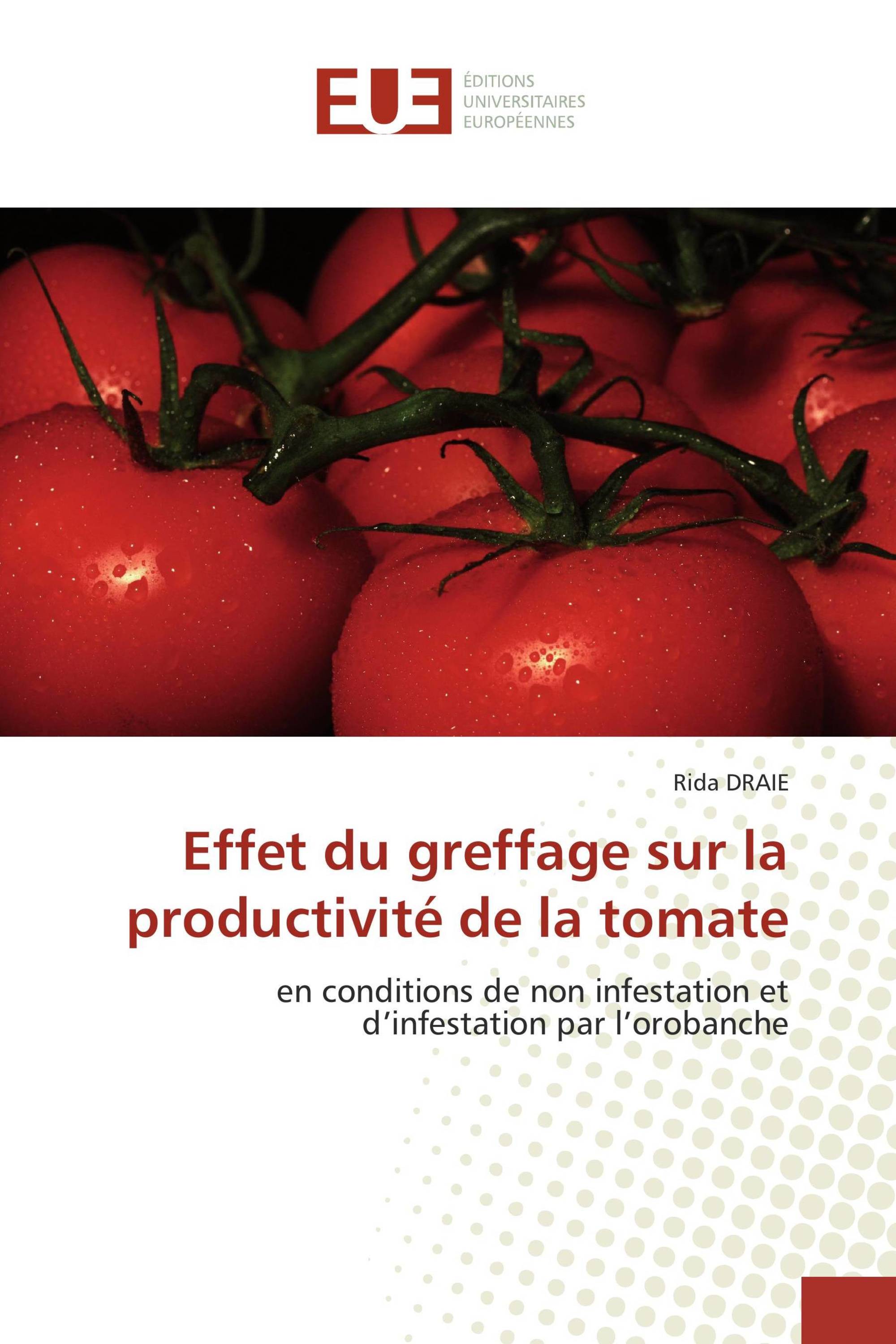 Effet du greffage sur la productivité de la tomate