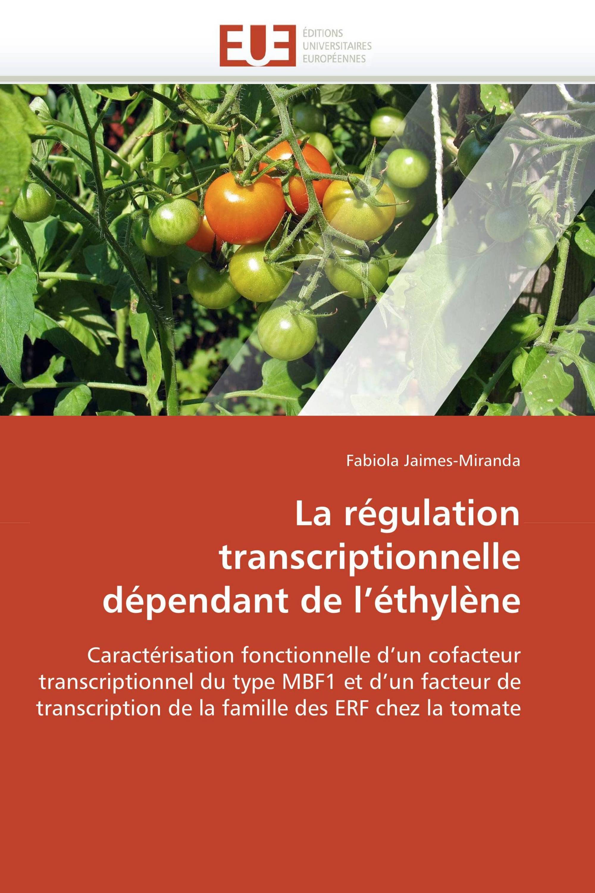 La régulation transcriptionnelle dépendant de l’éthylène