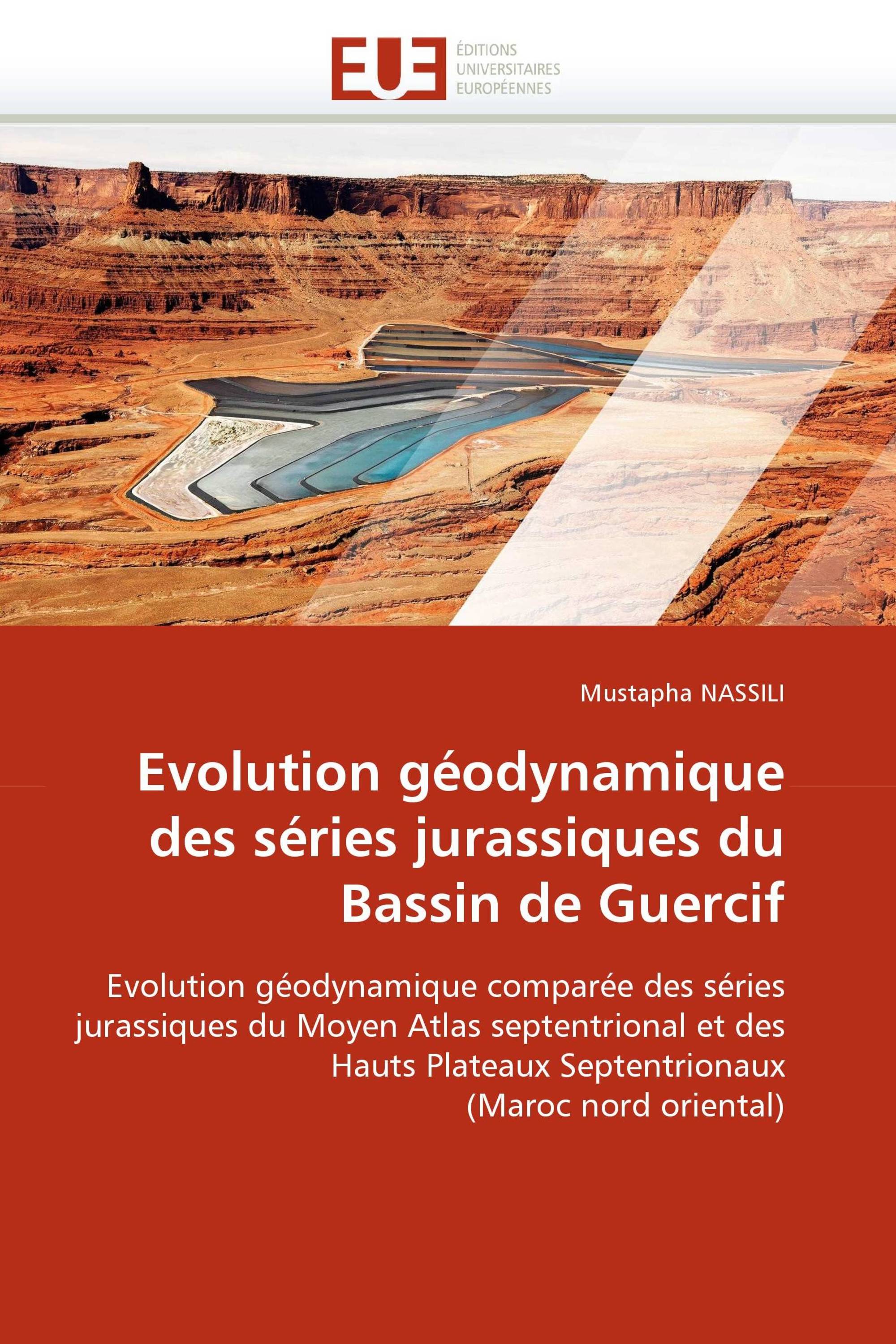 Evolution géodynamique des séries jurassiques du Bassin de Guercif