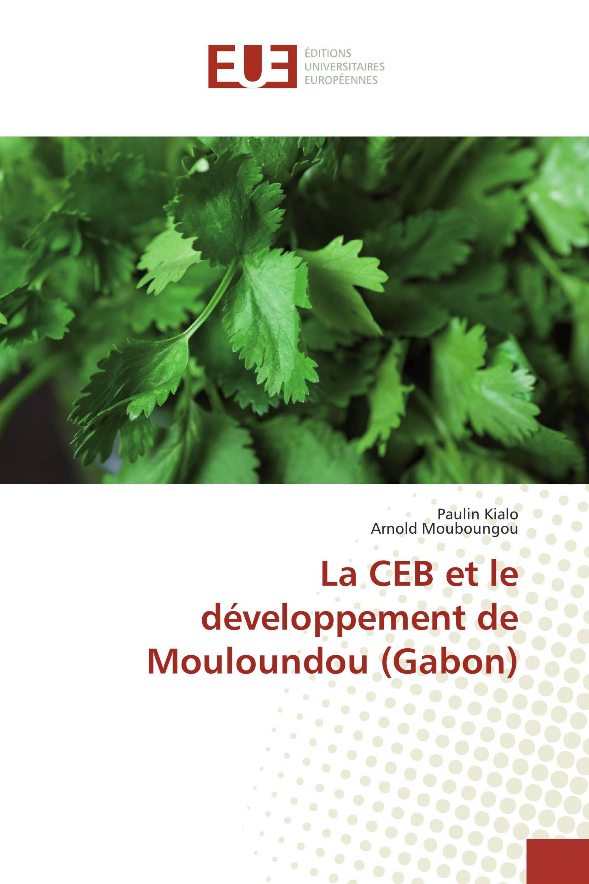 La CEB et le développement de Mouloundou (Gabon)