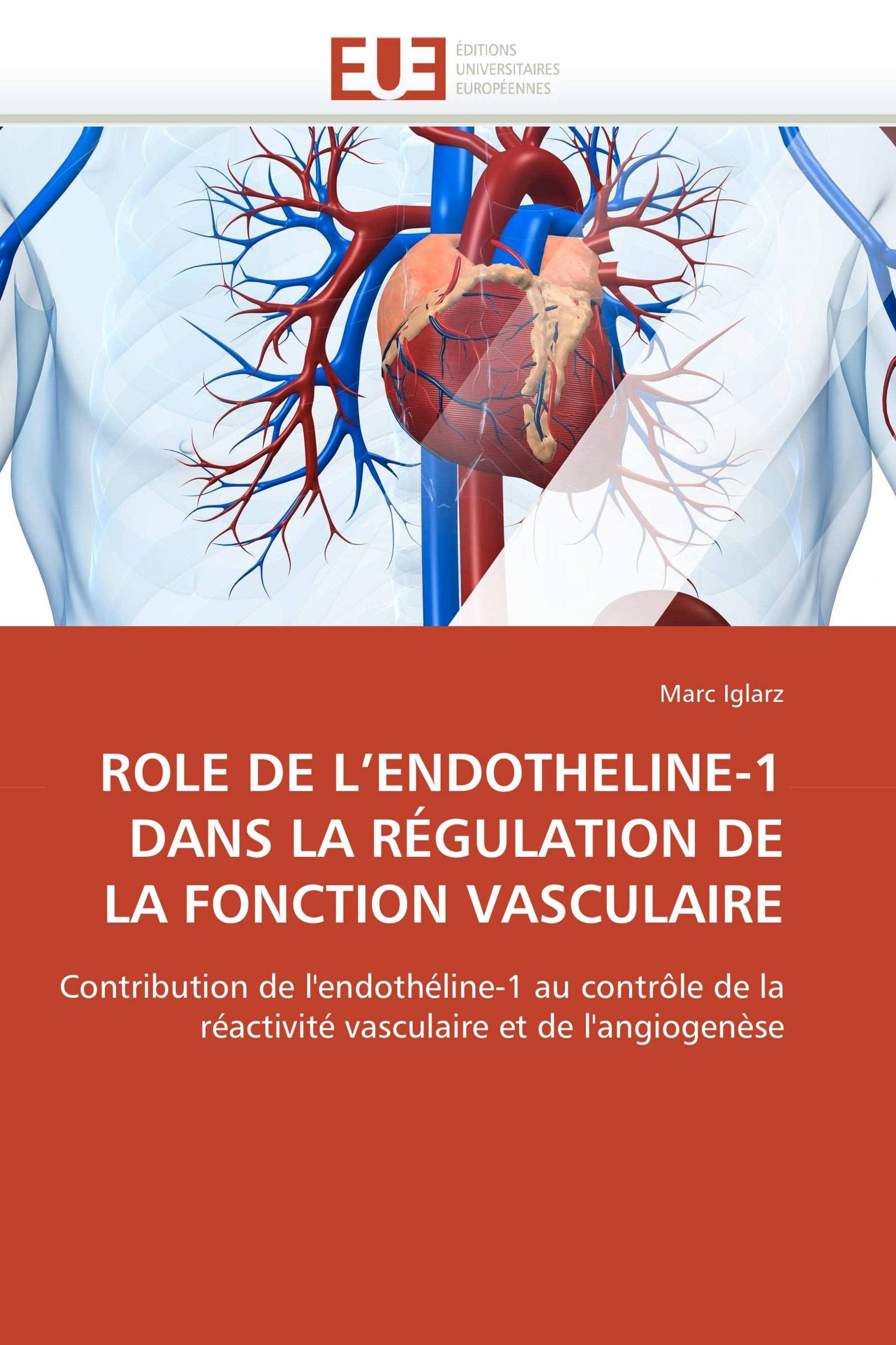 ROLE DE L’ENDOTHELINE-1 DANS LA RÉGULATION DE LA FONCTION VASCULAIRE