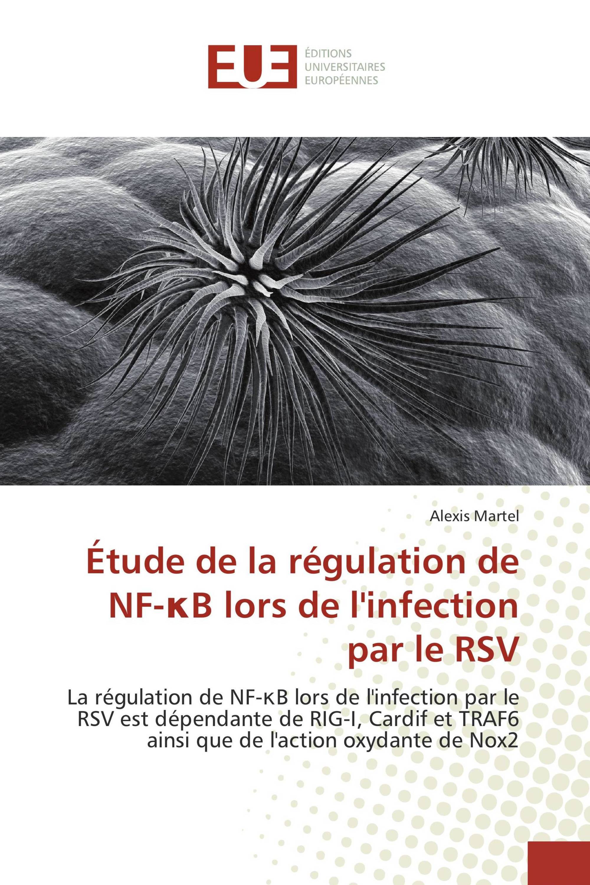 Étude de la régulation de NF-κB lors de l'infection par le RSV