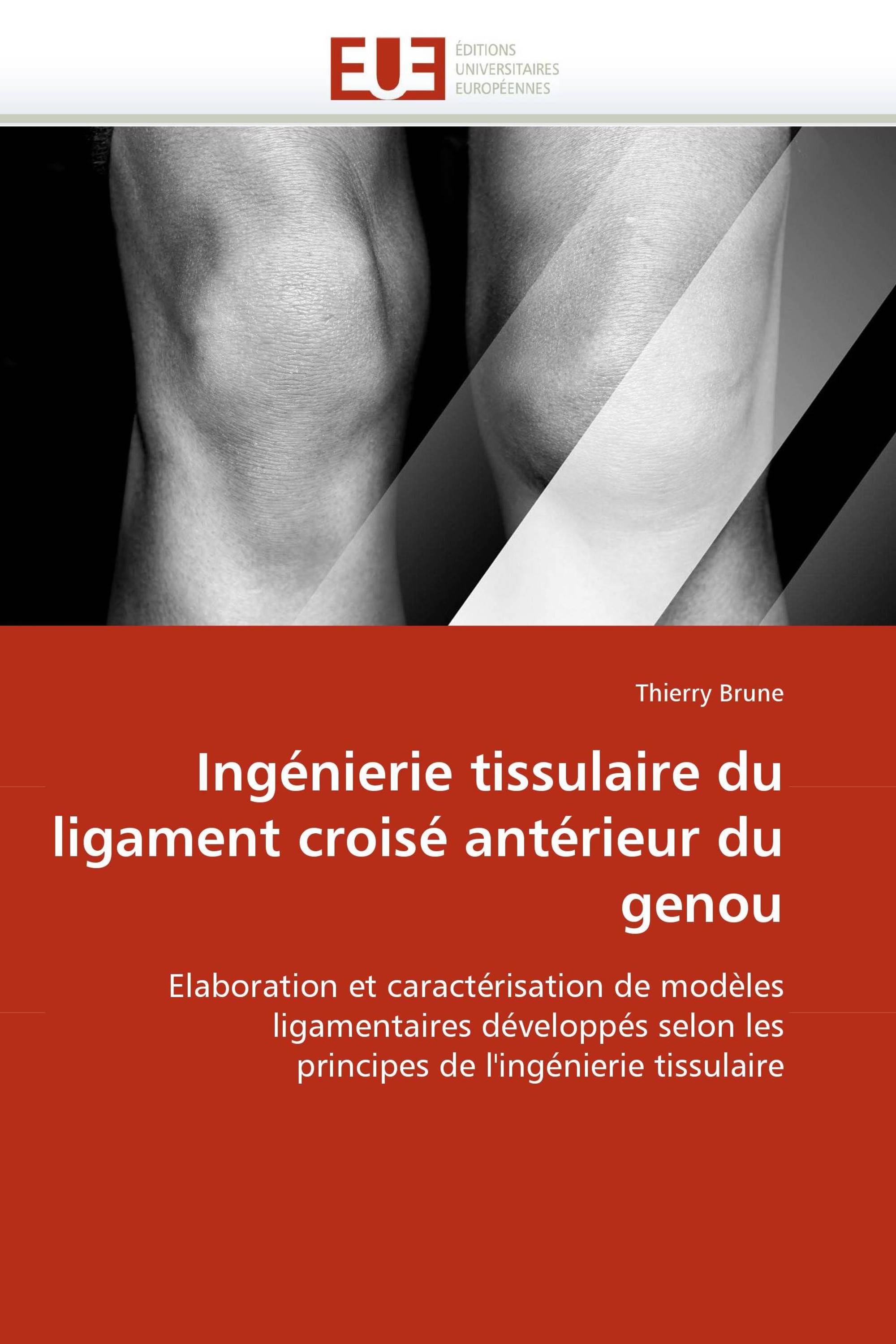 Ingénierie tissulaire du ligament croisé antérieur du genou